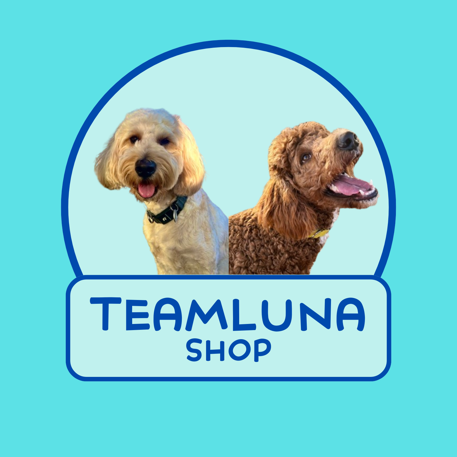 TeamLuna Shop