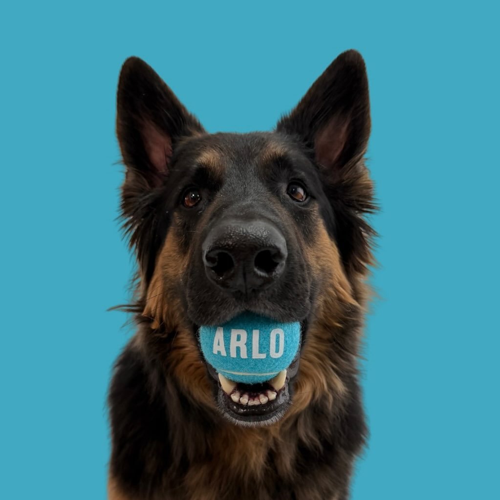 @arlotheg