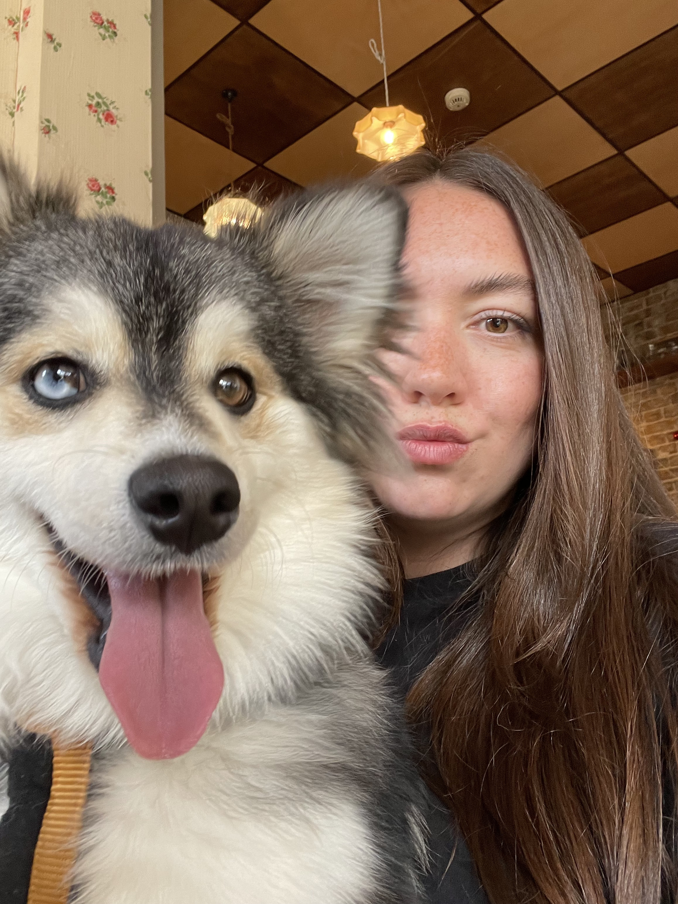 @mushroom.pomsky