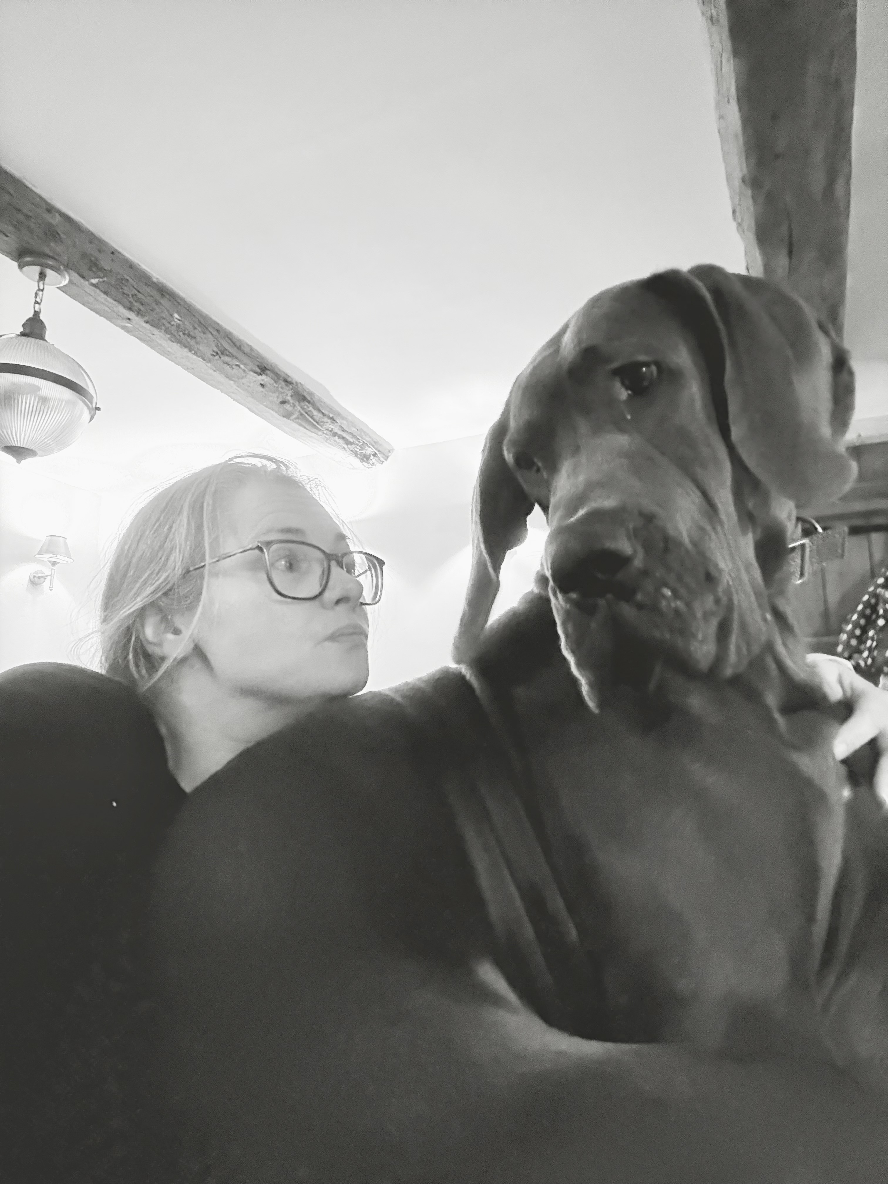 thedeveloperandthedane