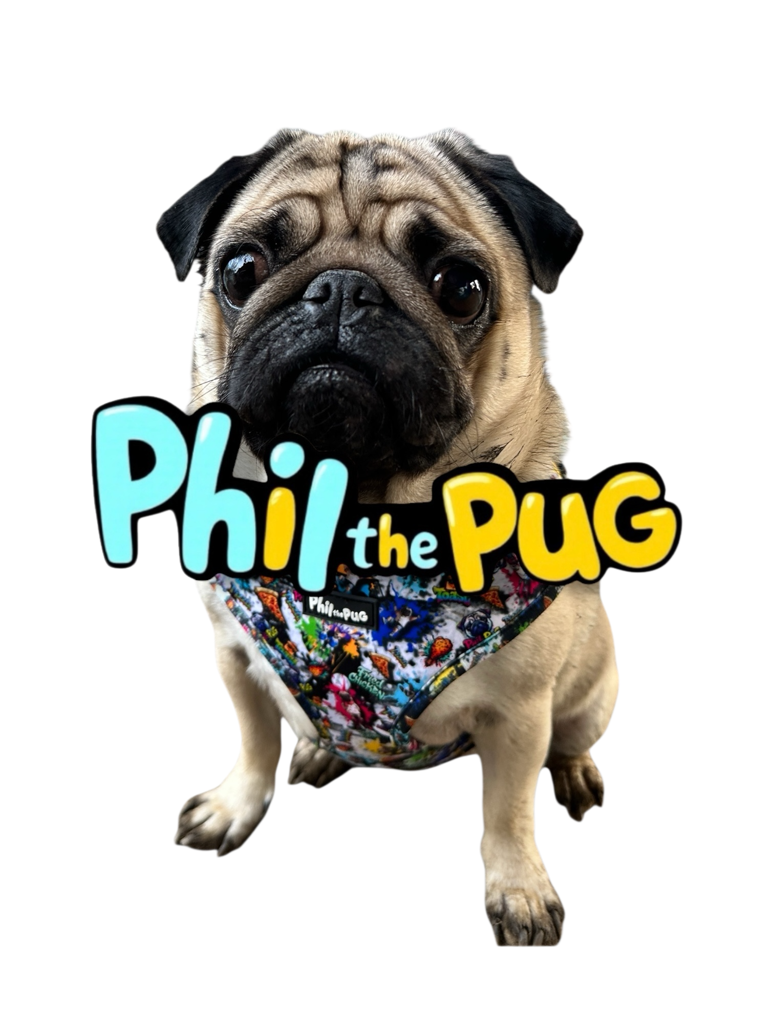 @phil.the.pug