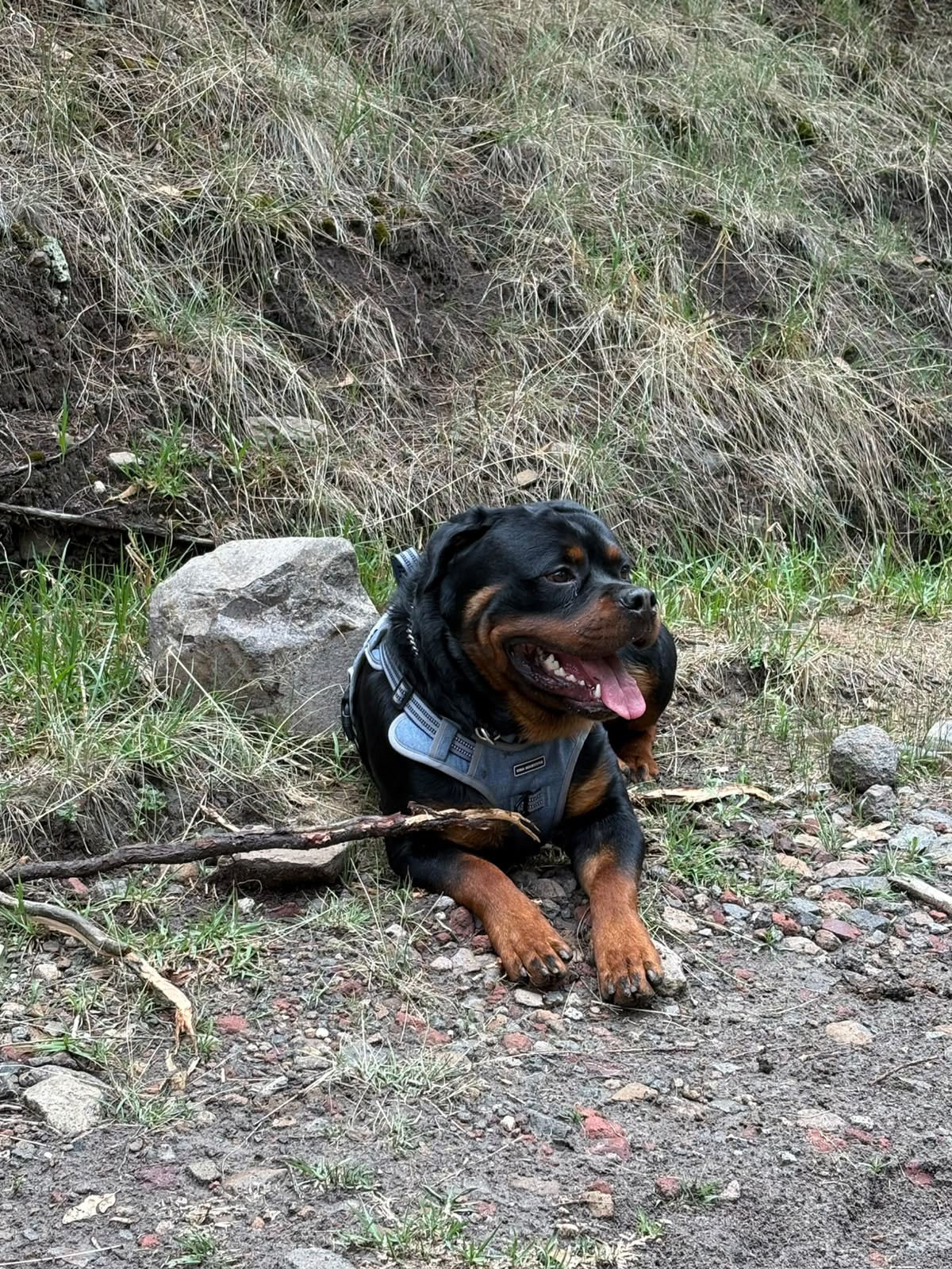 @rott_hunter