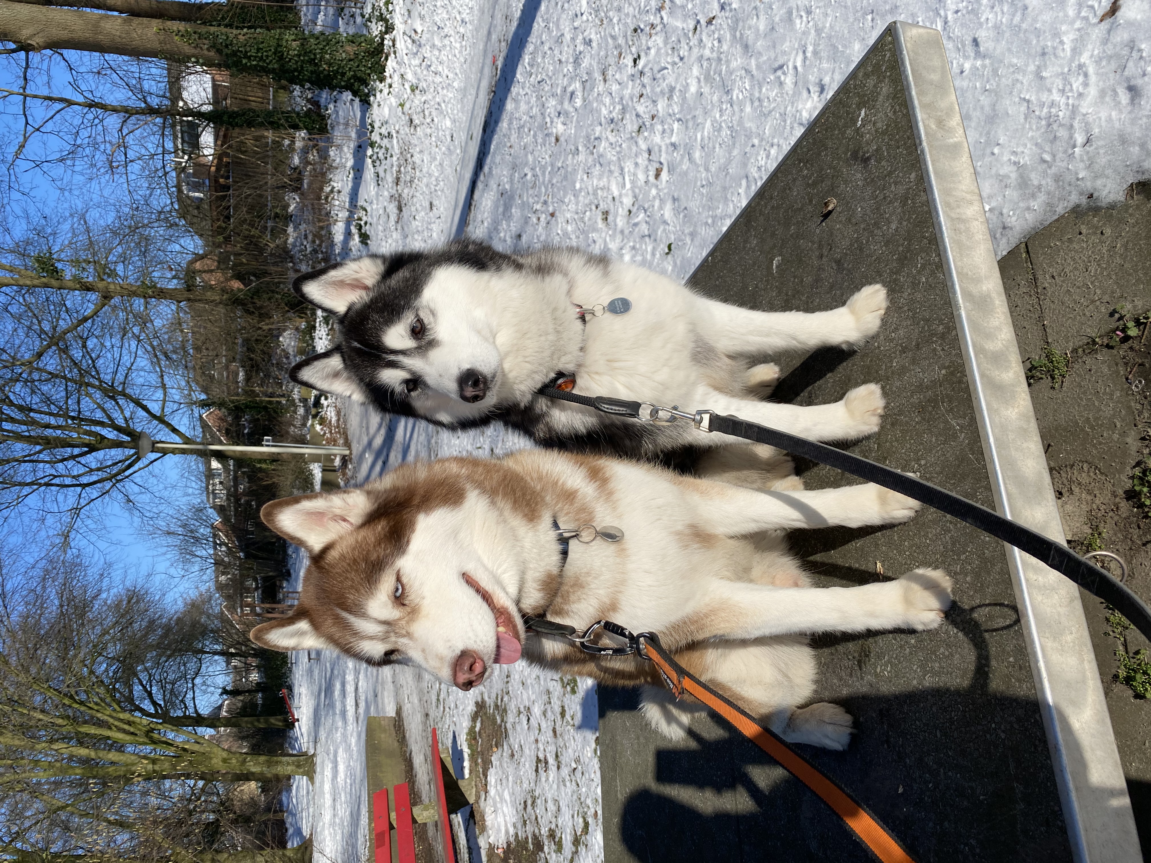 Kyan and Cajun