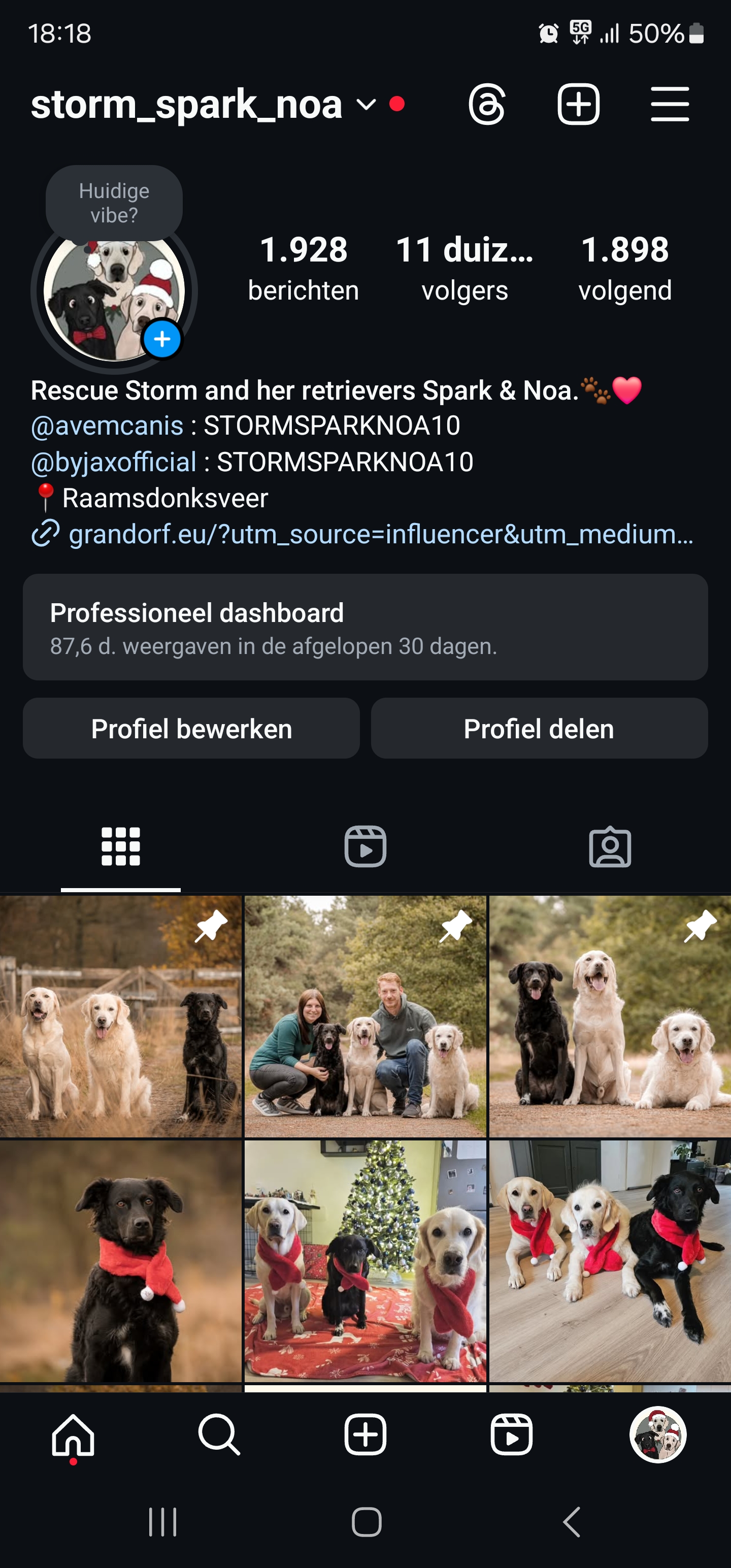 Storm, Spark & Noa