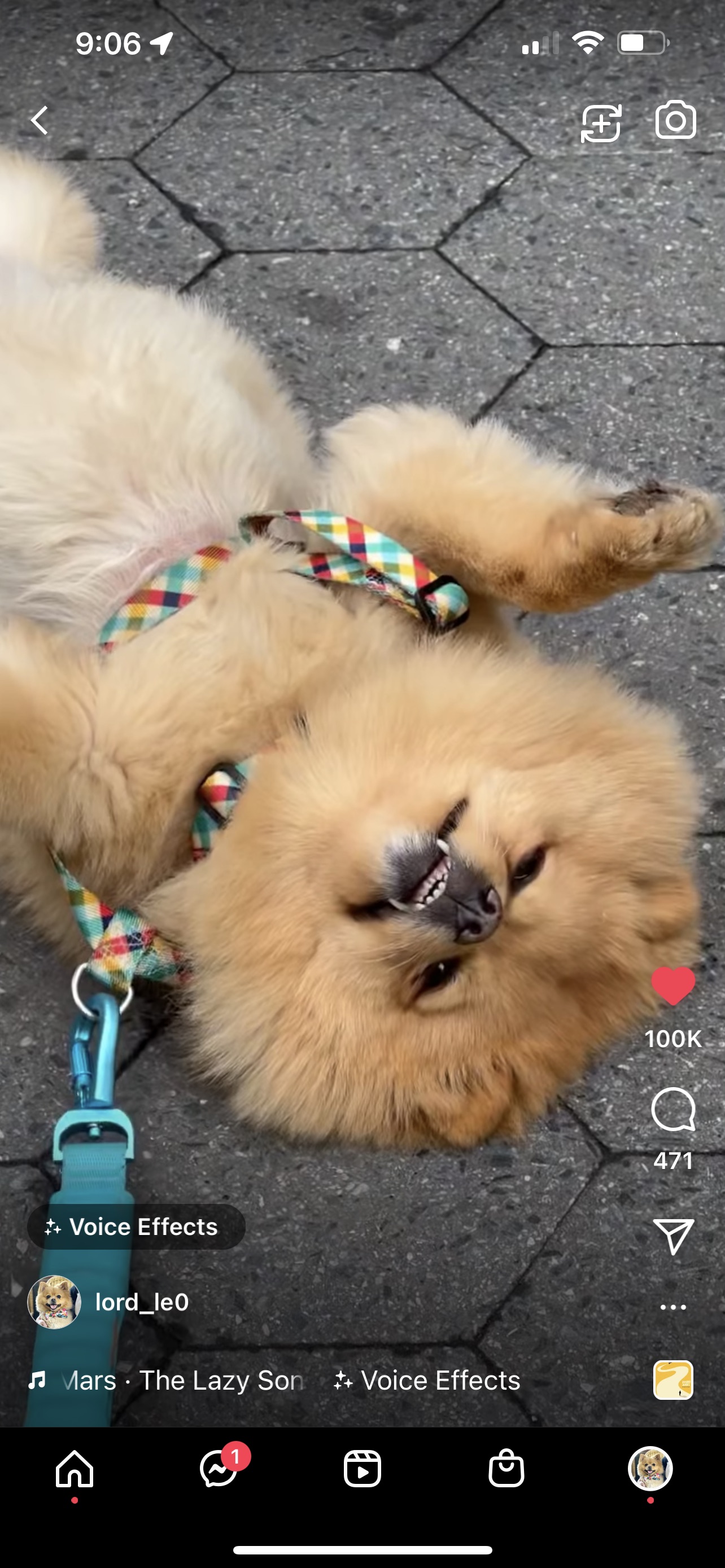 Leo
