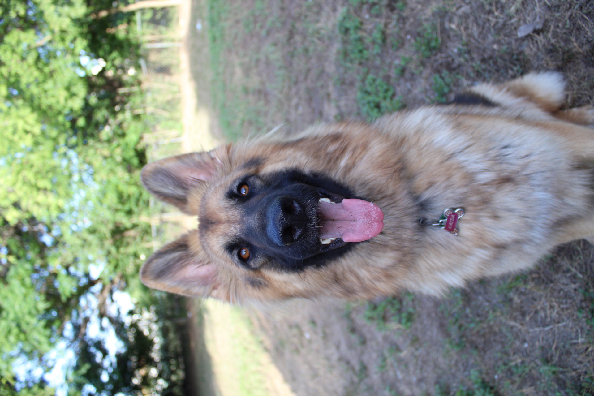 Kaida