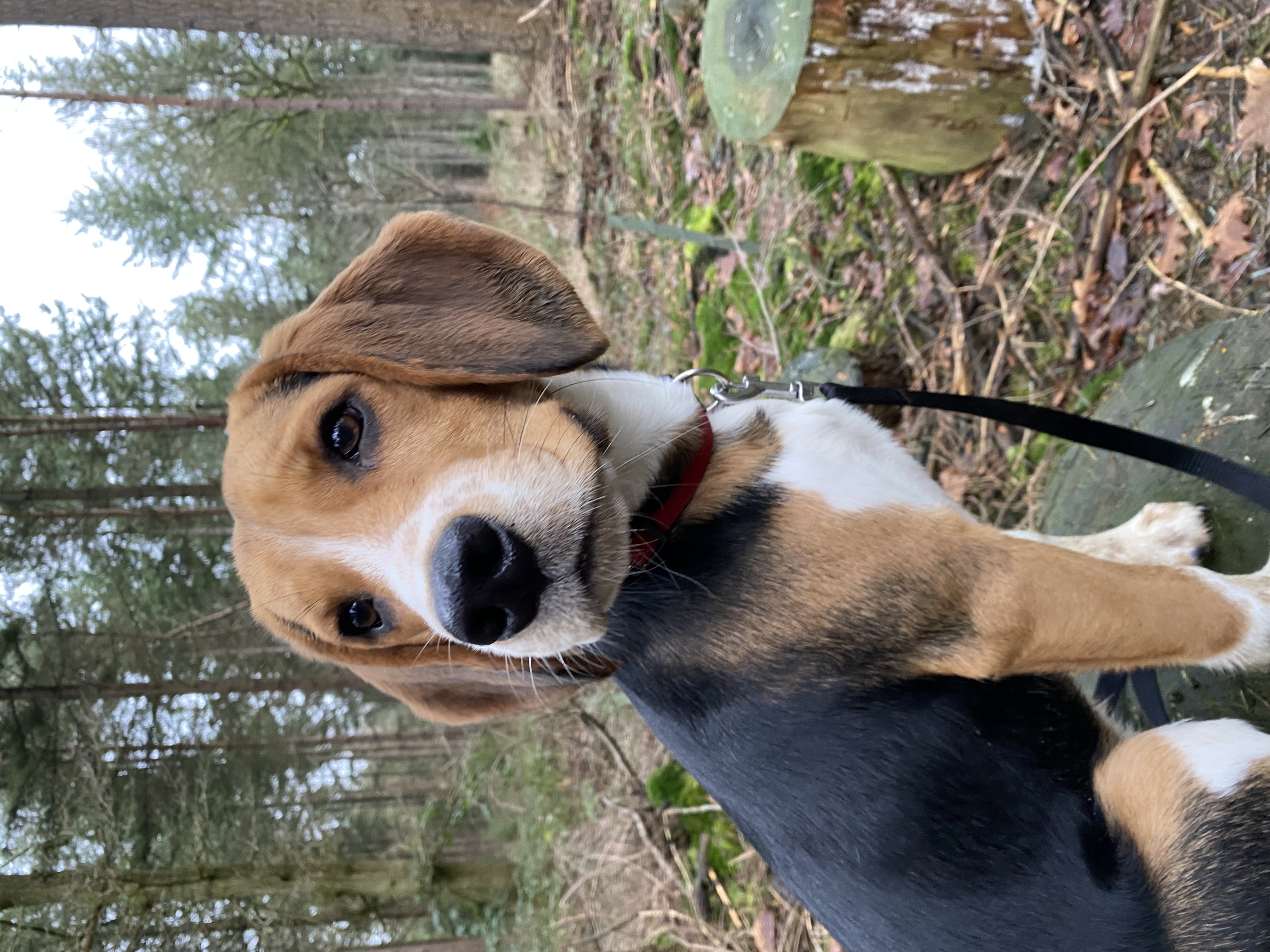 Charlie