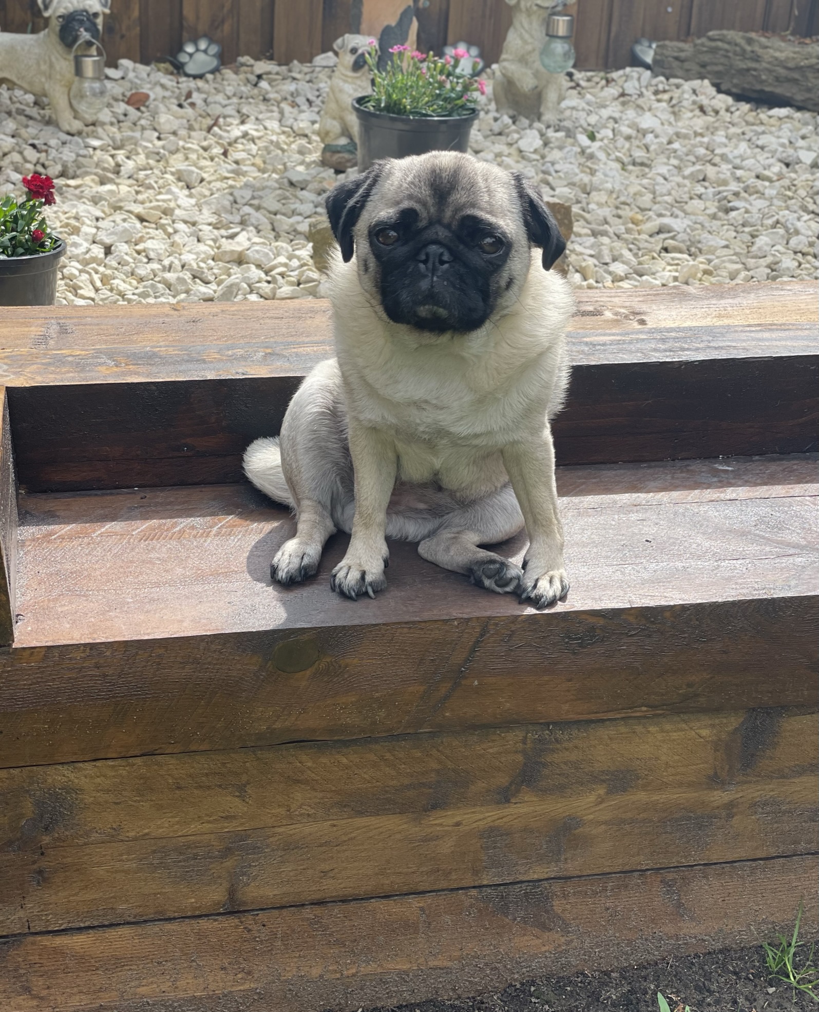 Lola