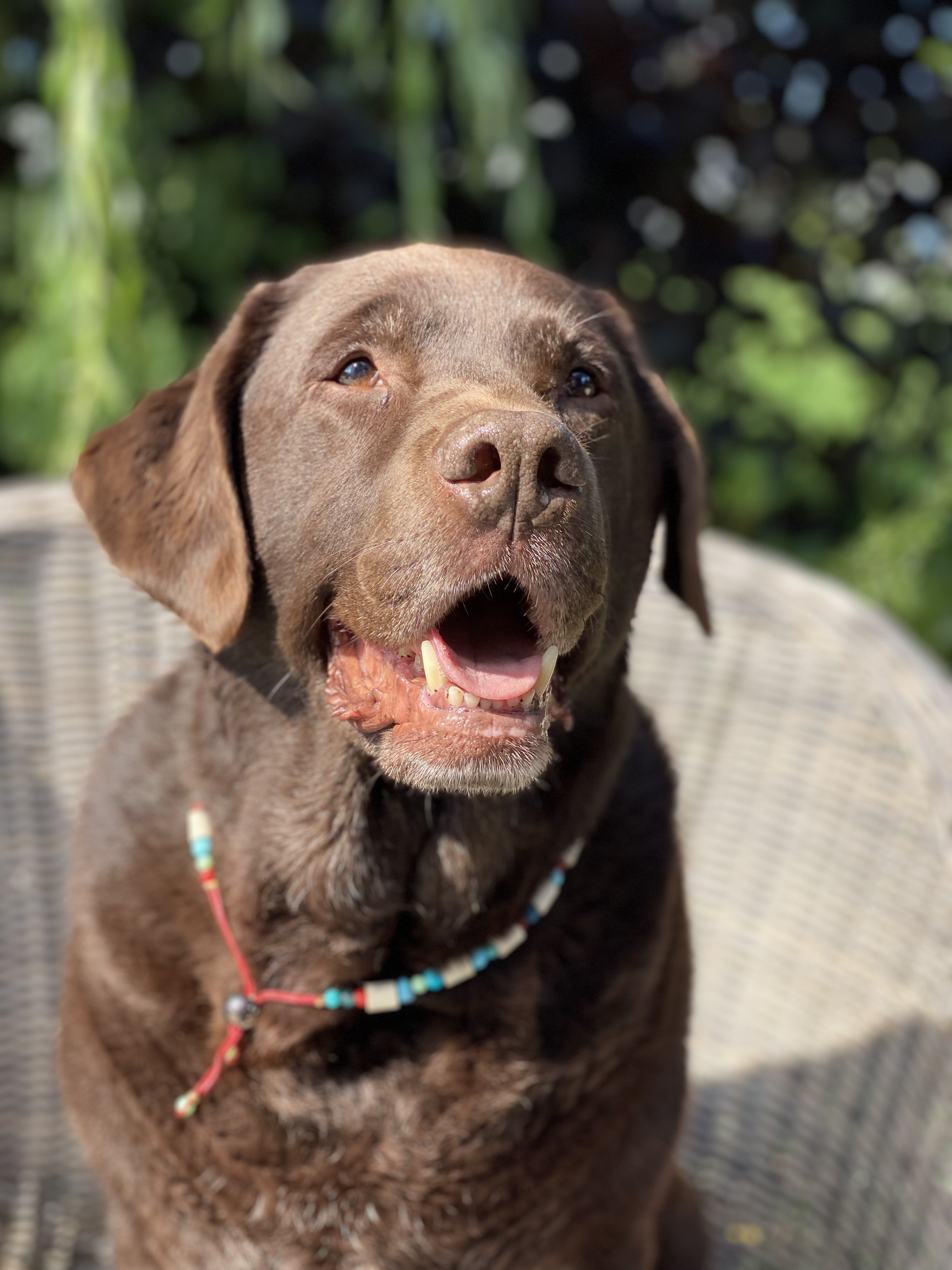 Skye