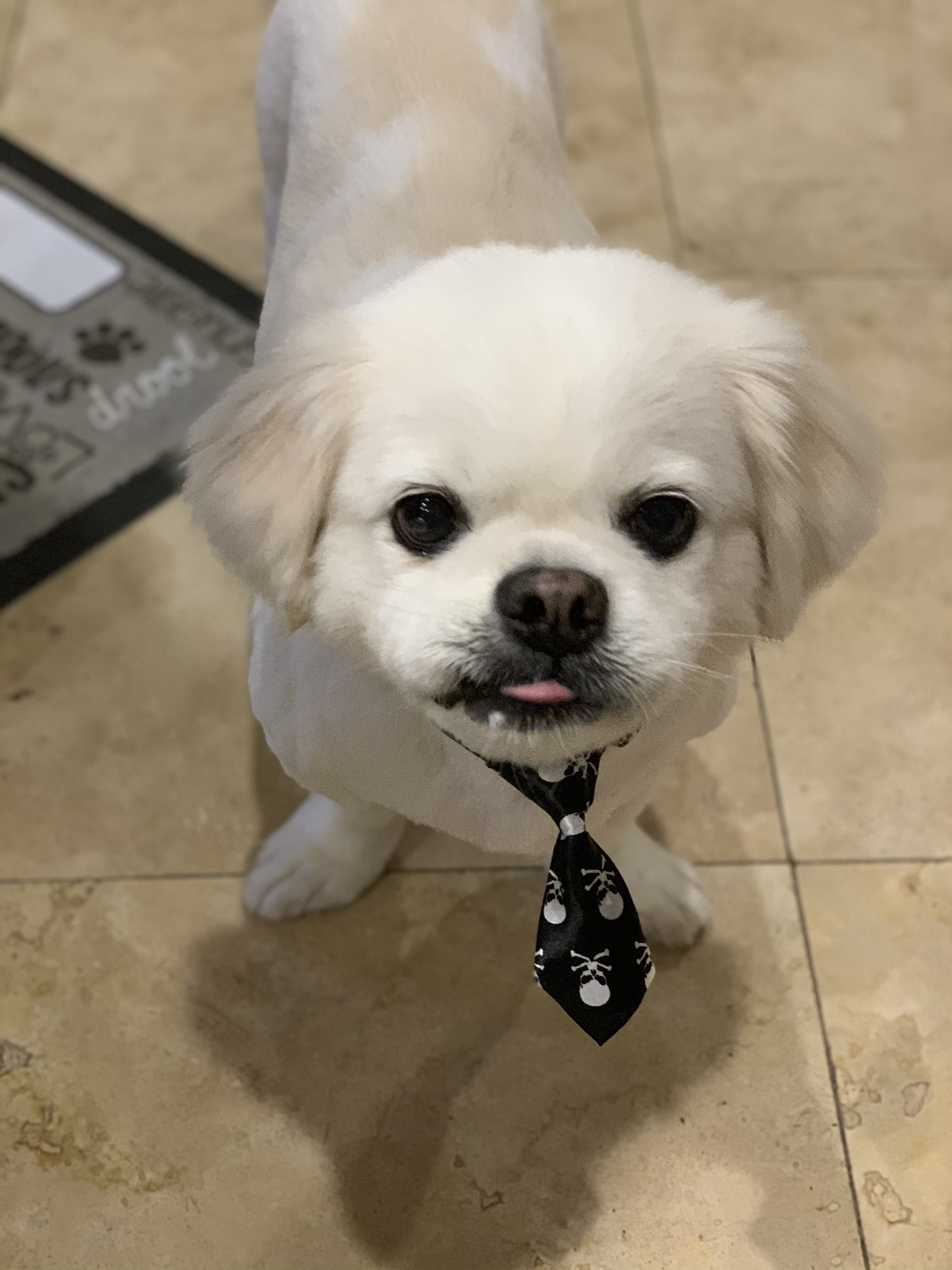 Oscar