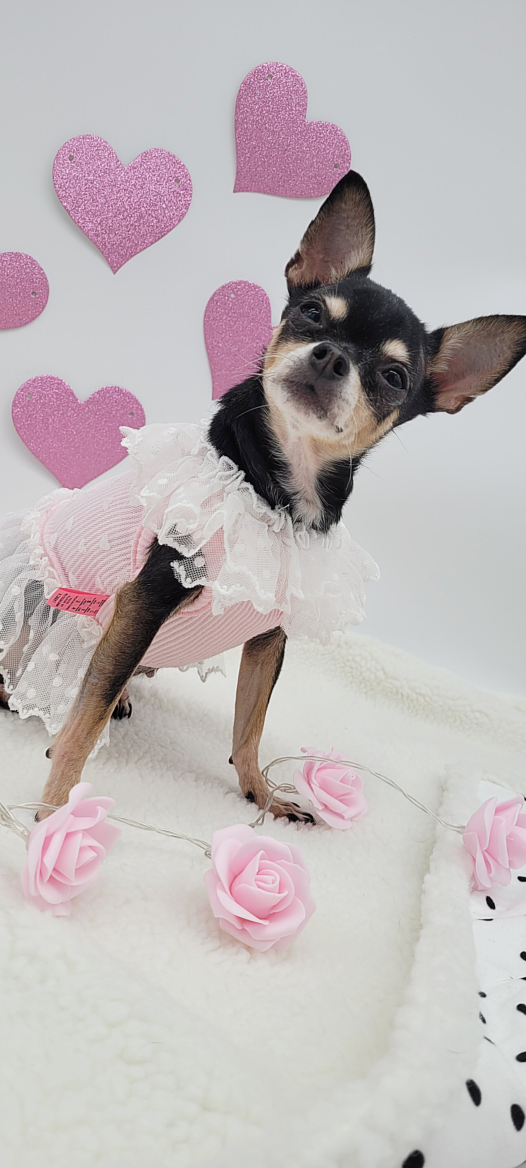 Roxy