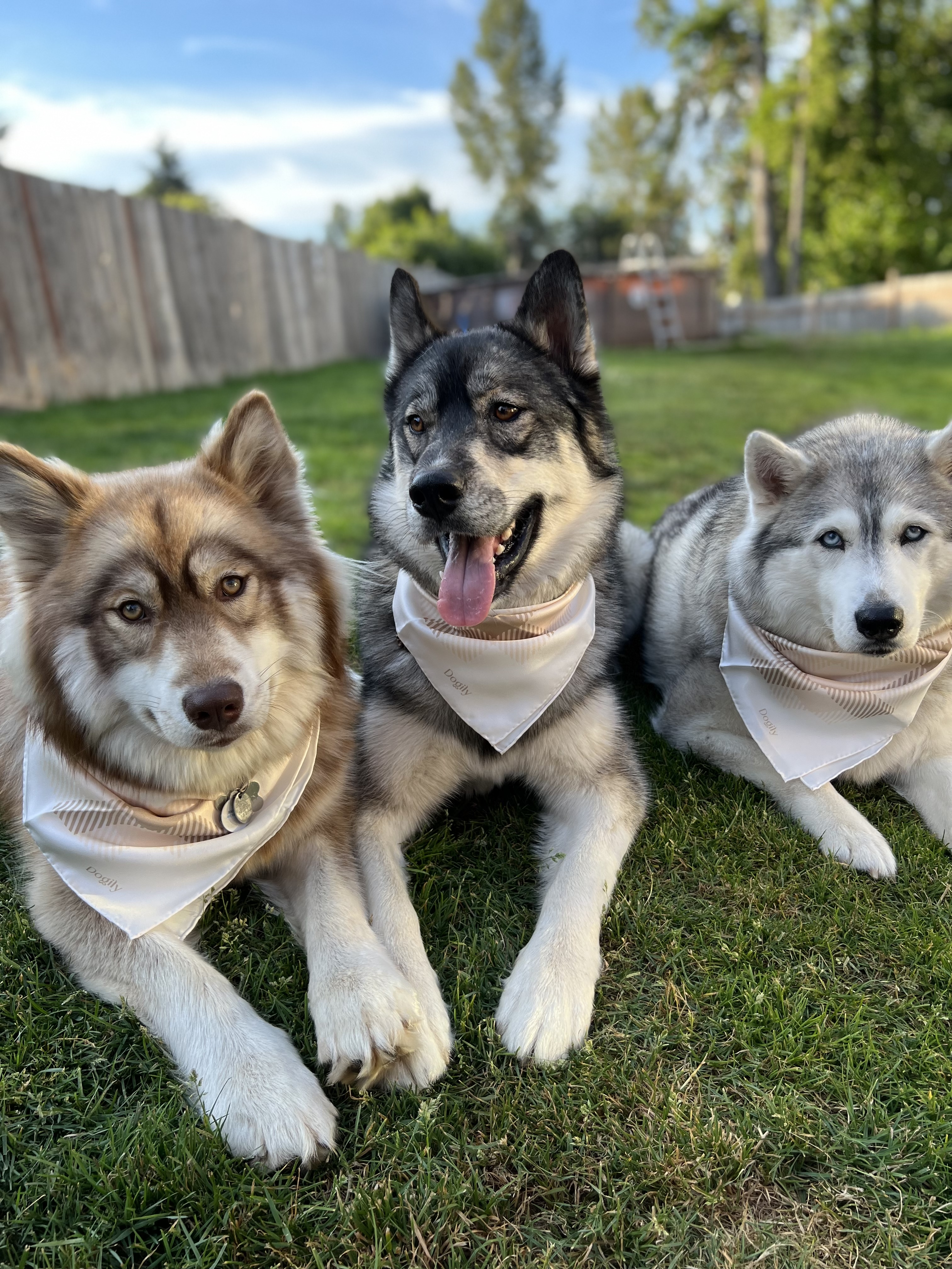 Tikanni Kita and Tehya