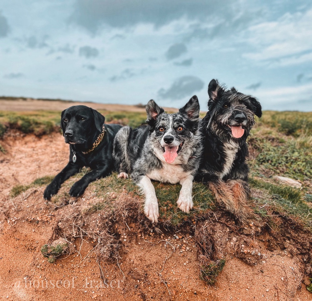 Fraser, Eli and Yuffie