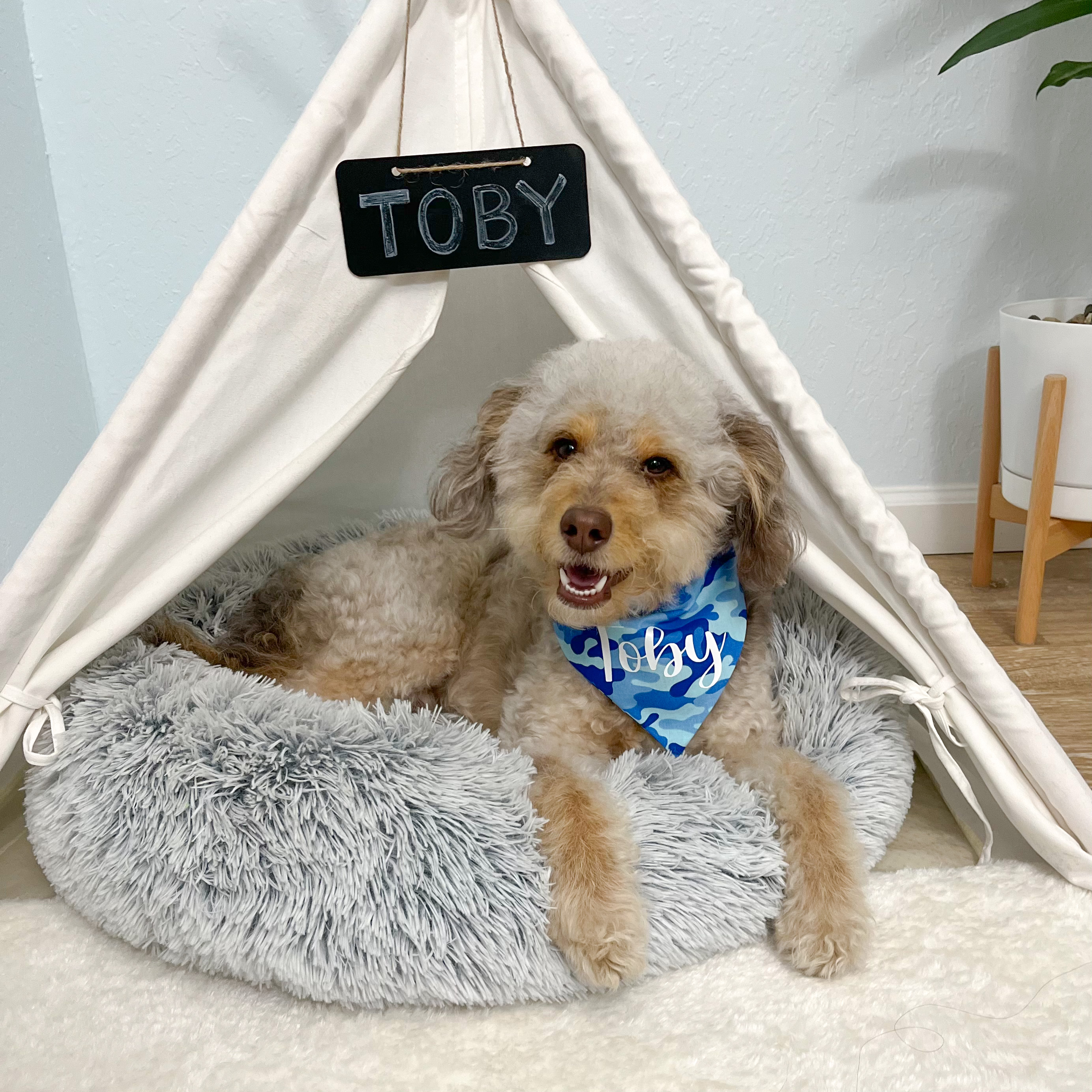 Toby