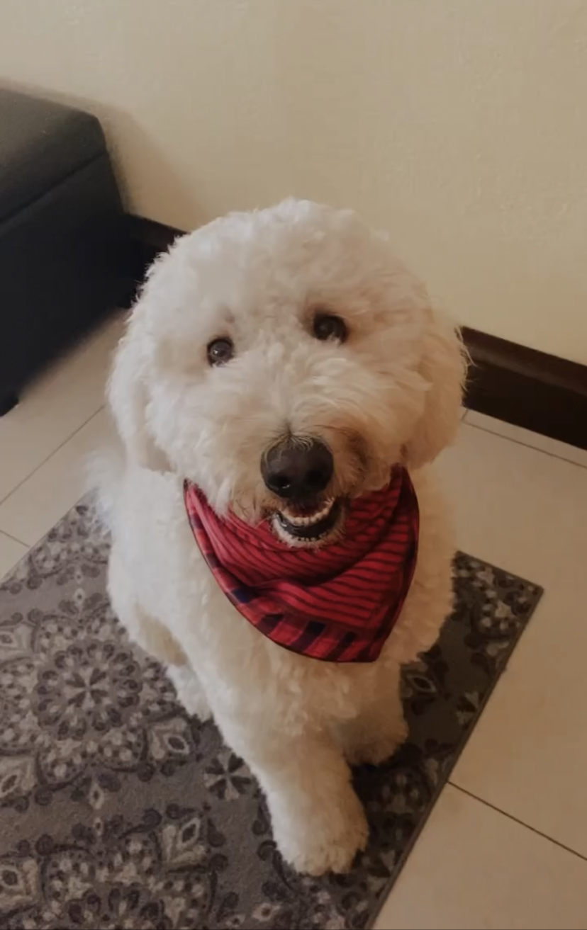 Max