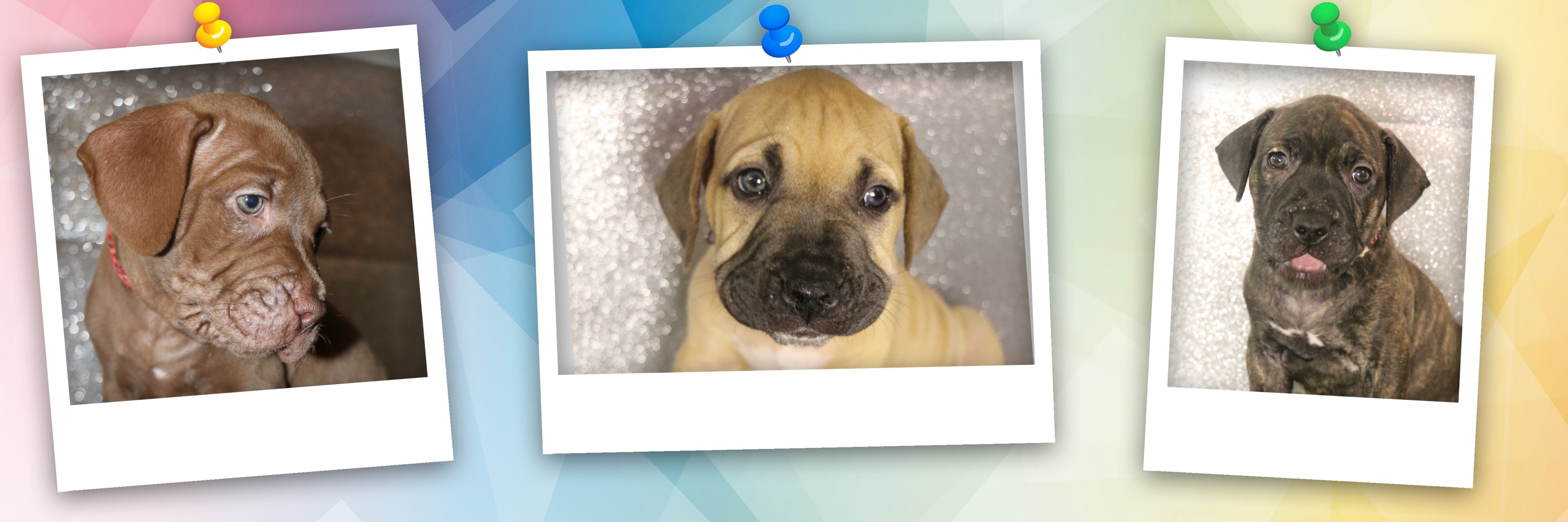 Athena, Taurus , Hera