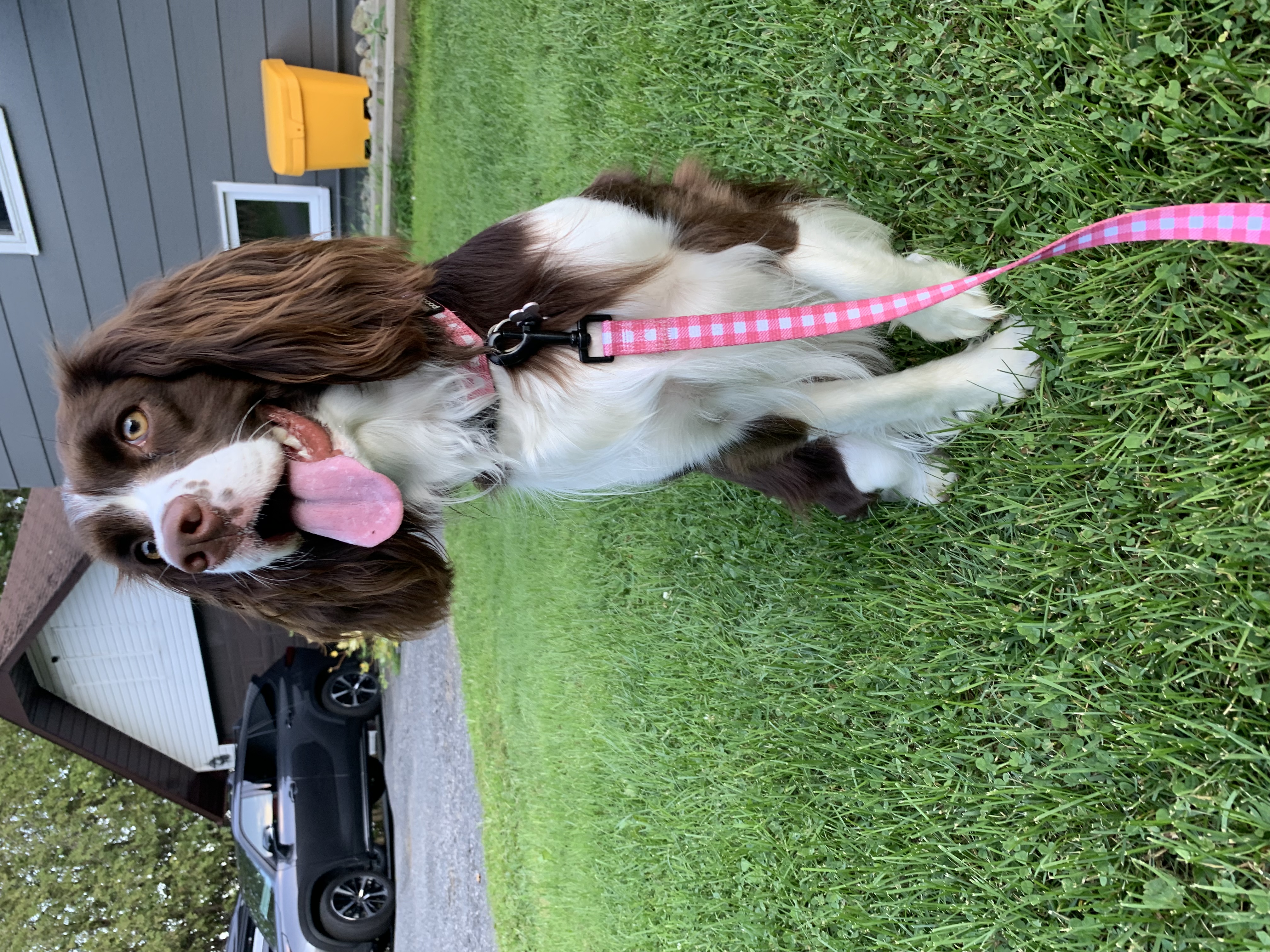 Marley