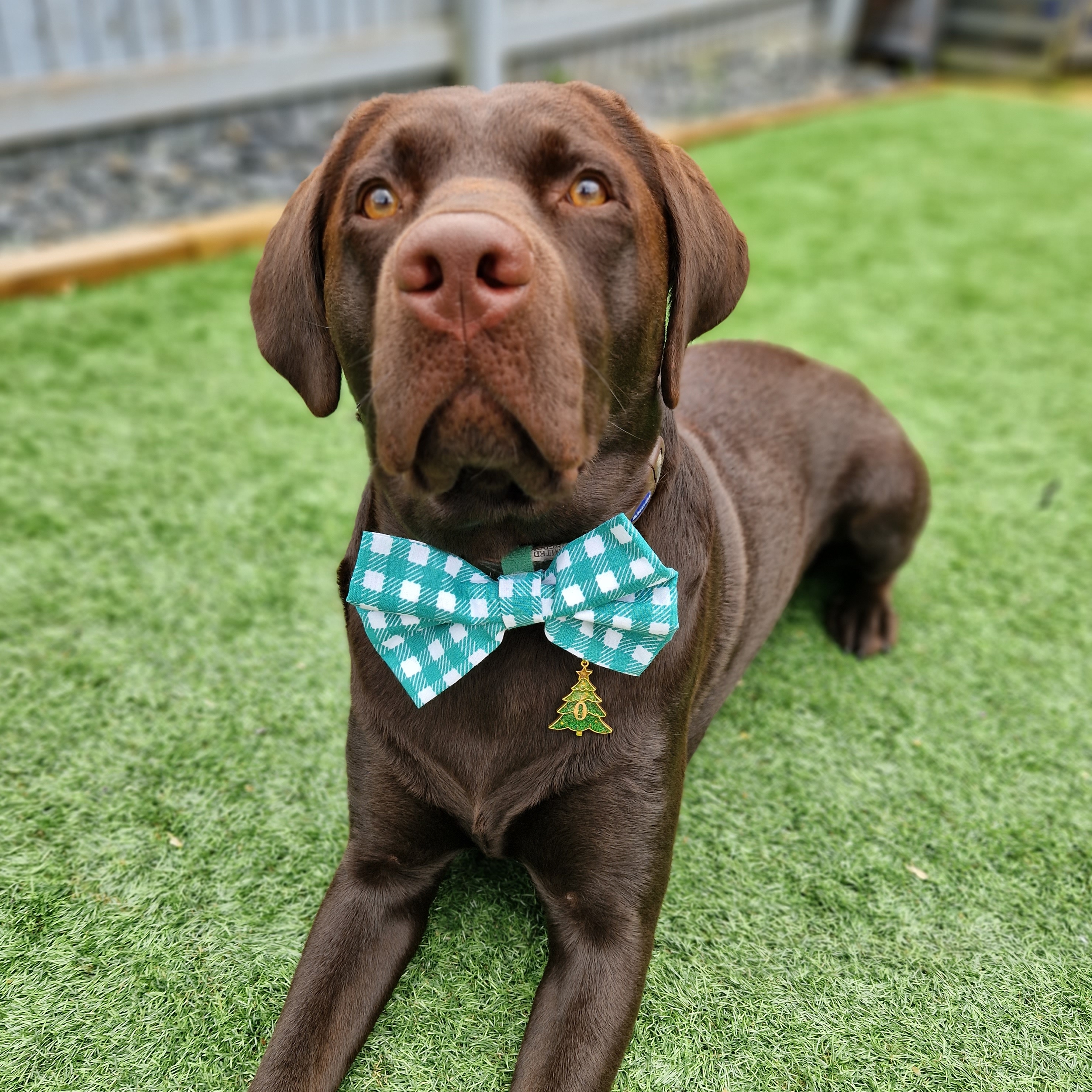 Otis