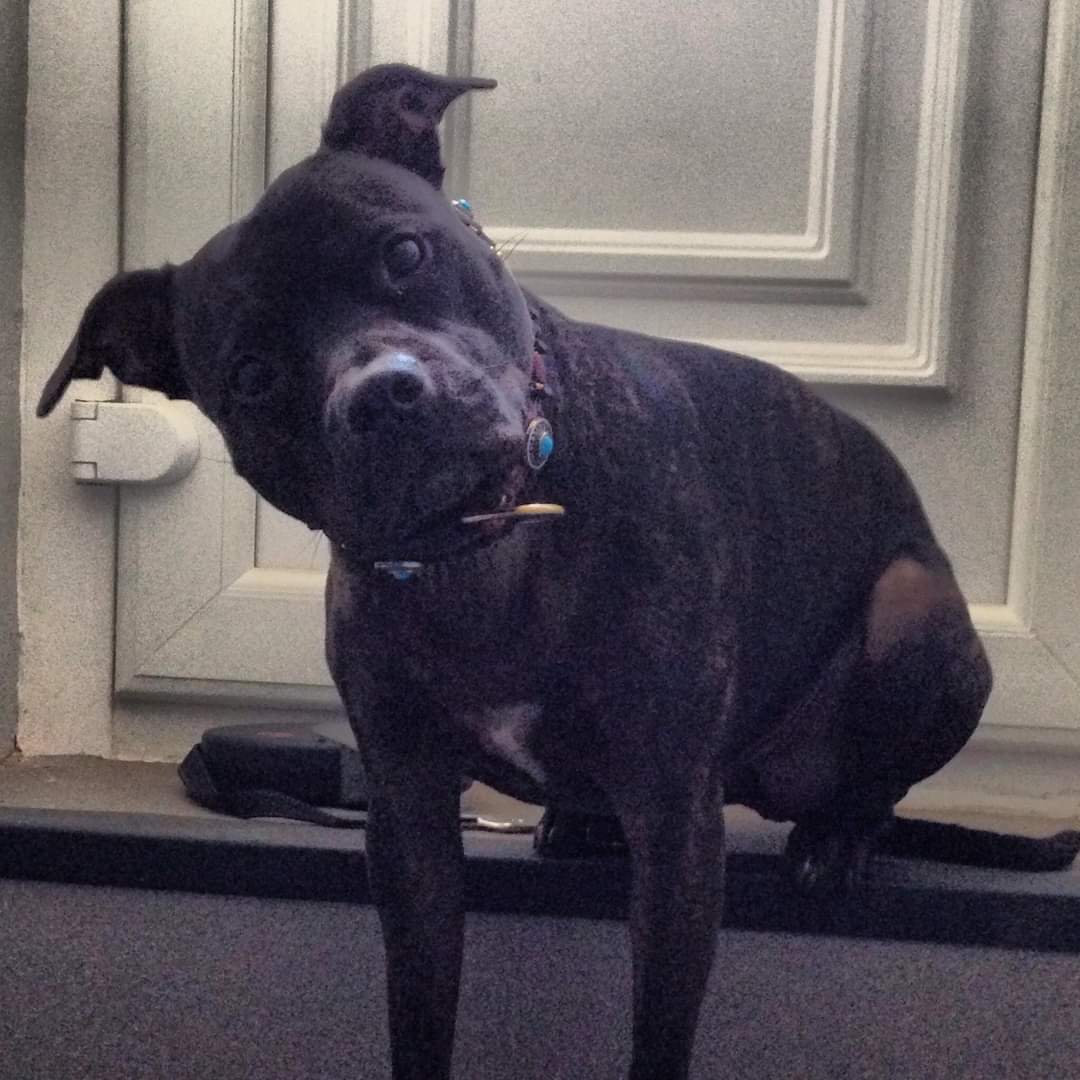 Missy