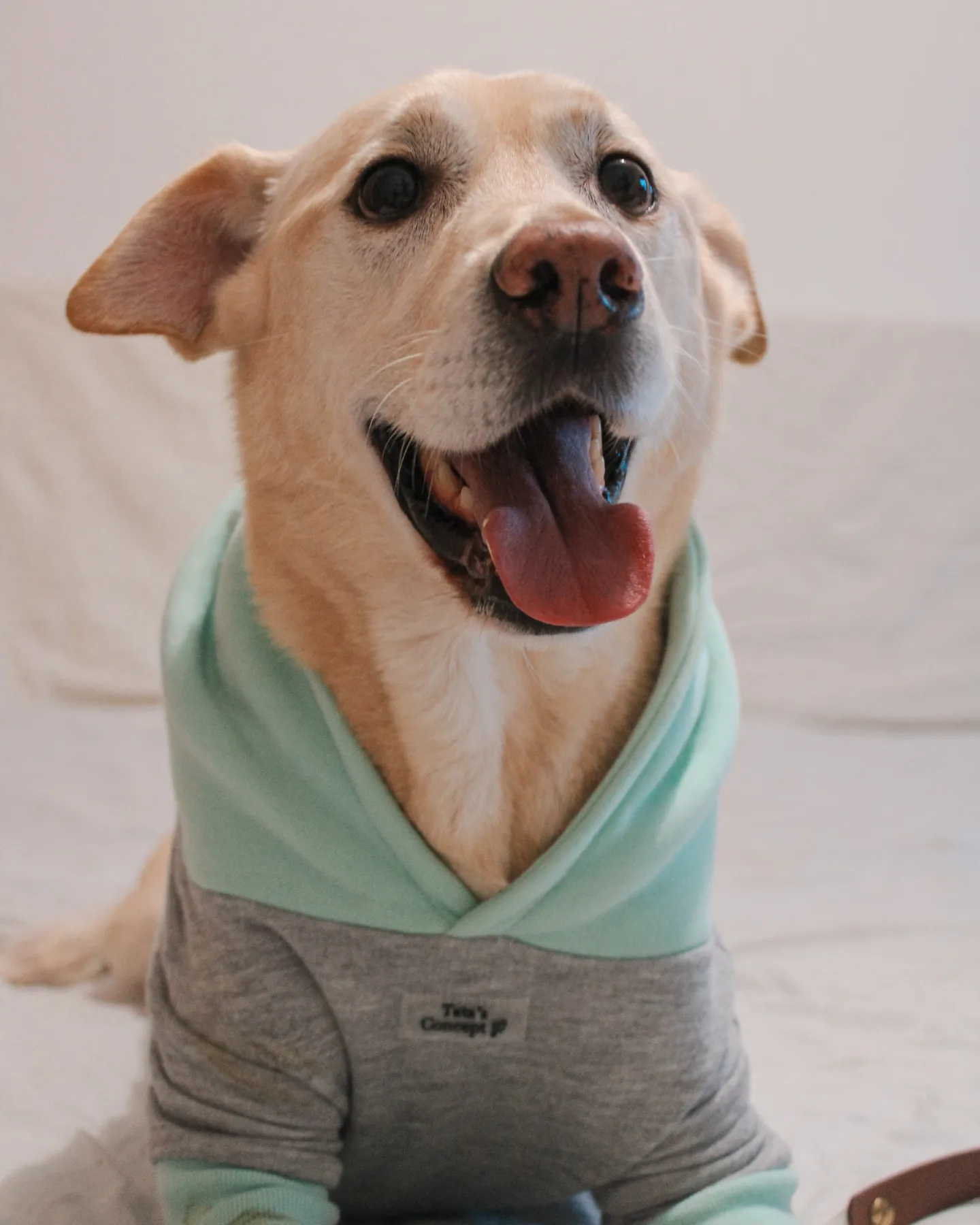 Benny