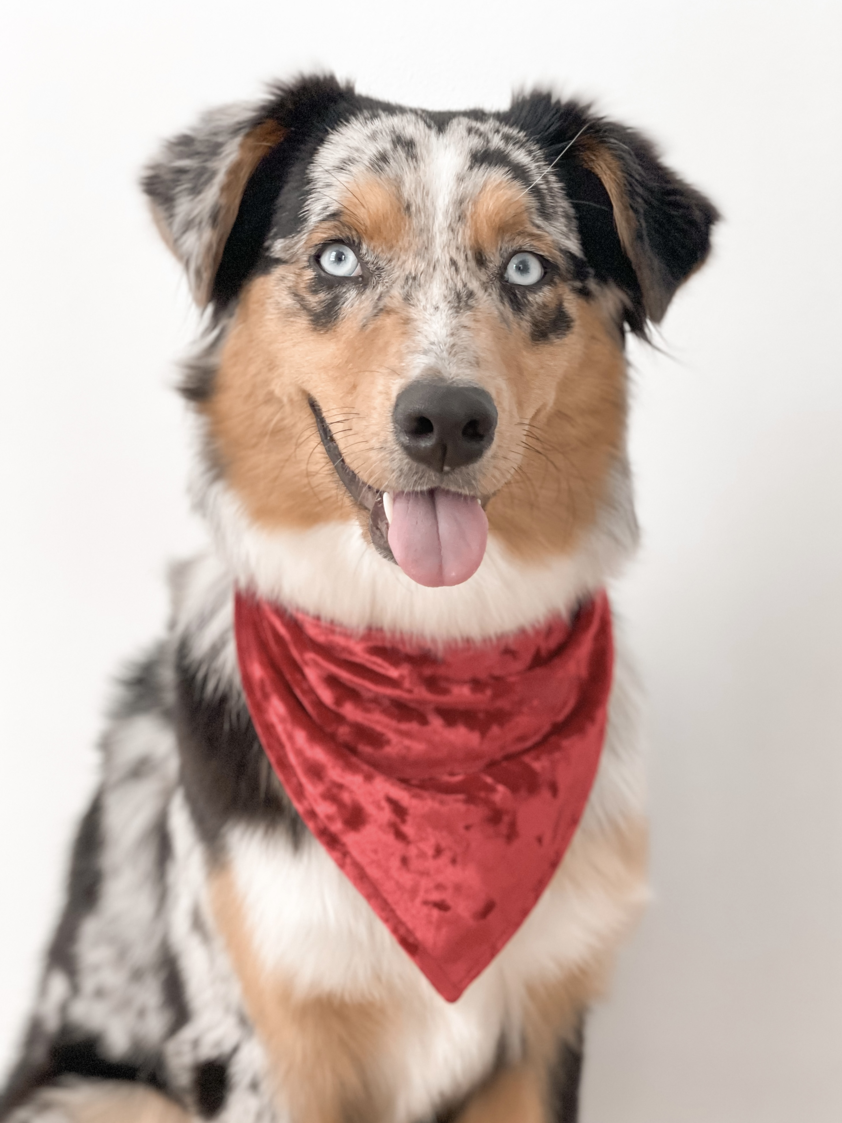 Kora