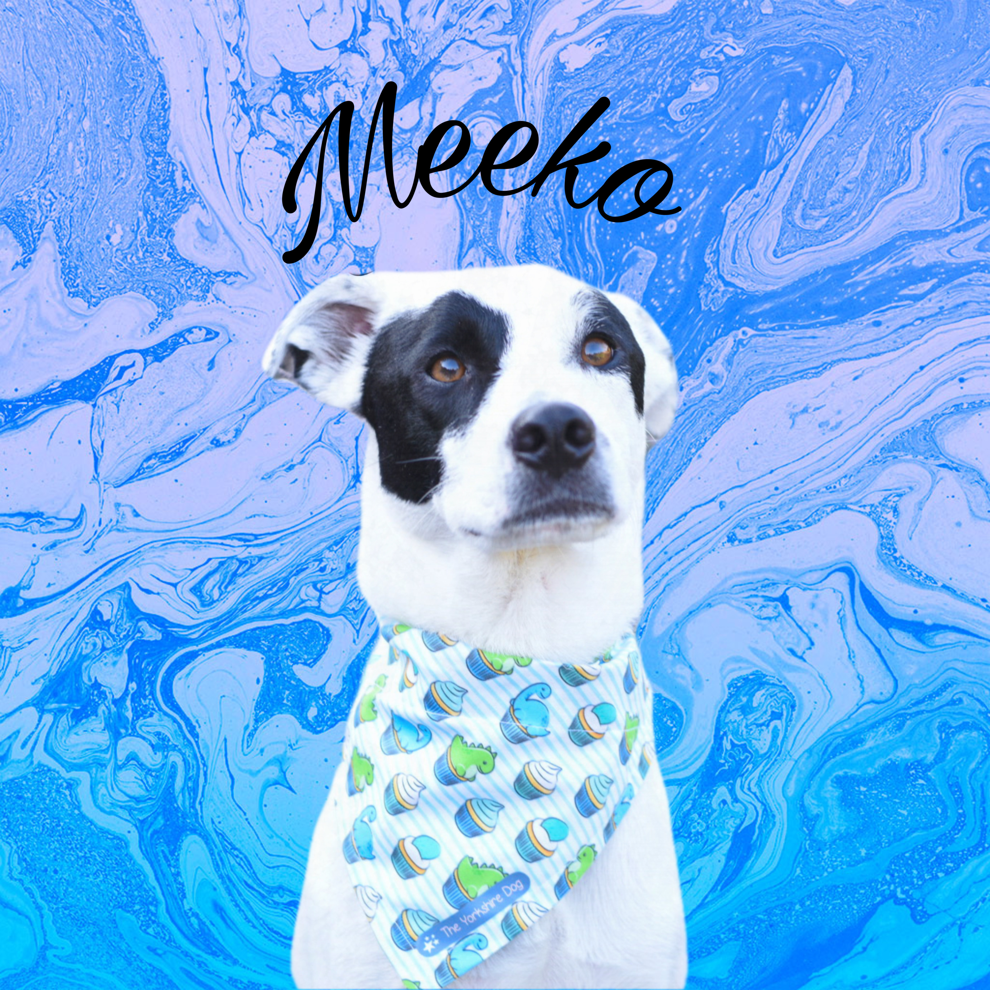 Meeko