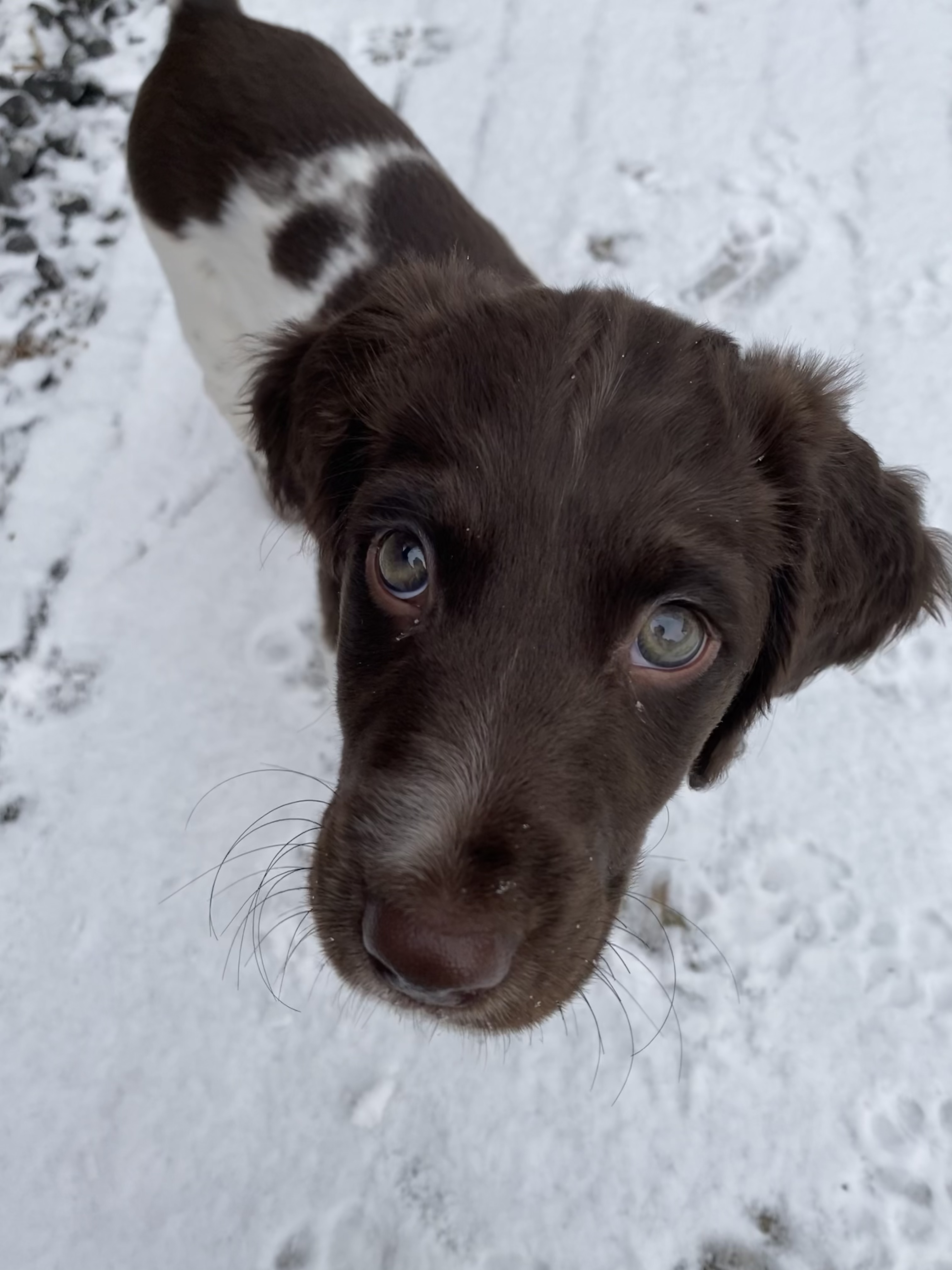 Sam