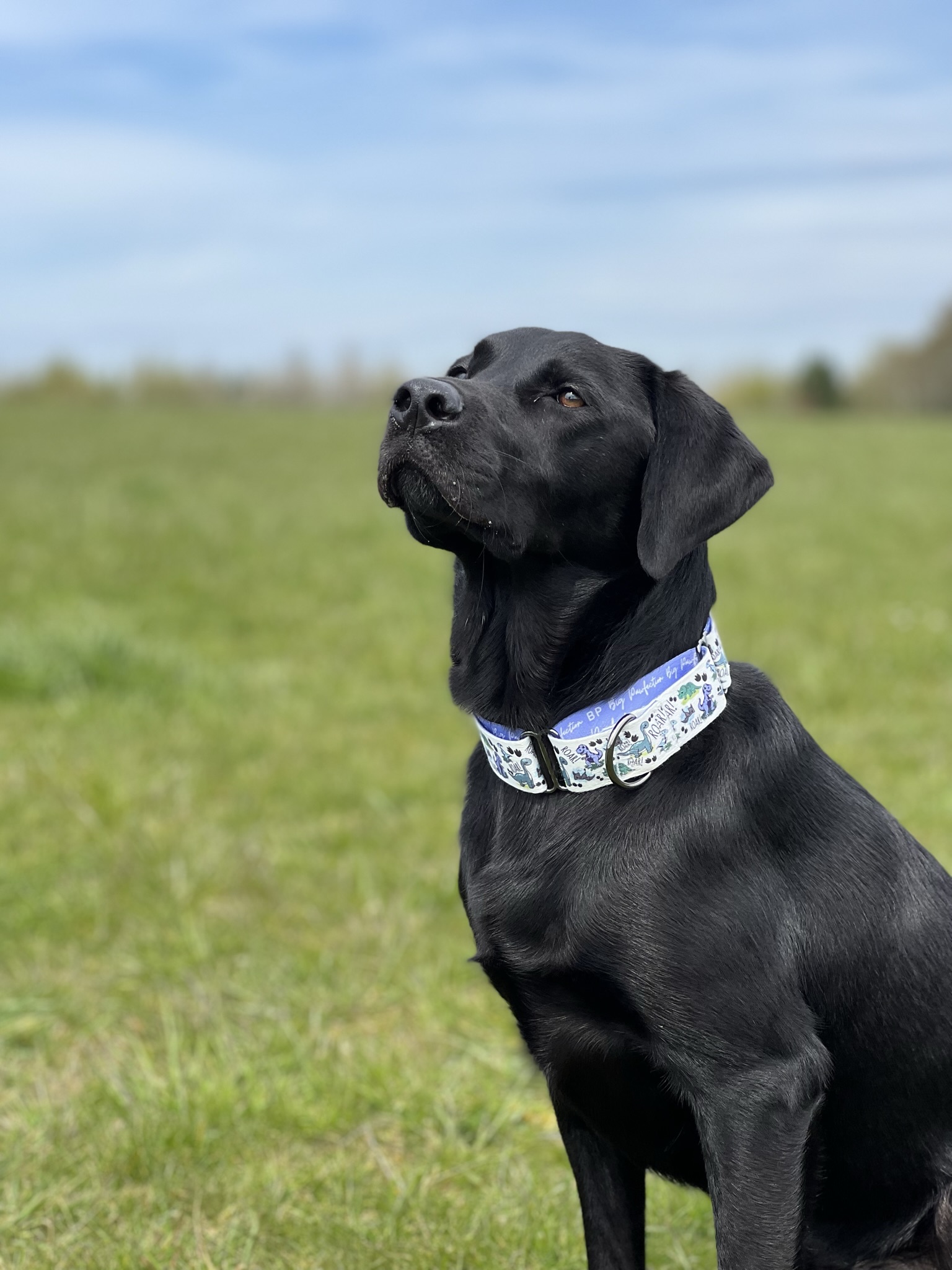 Max