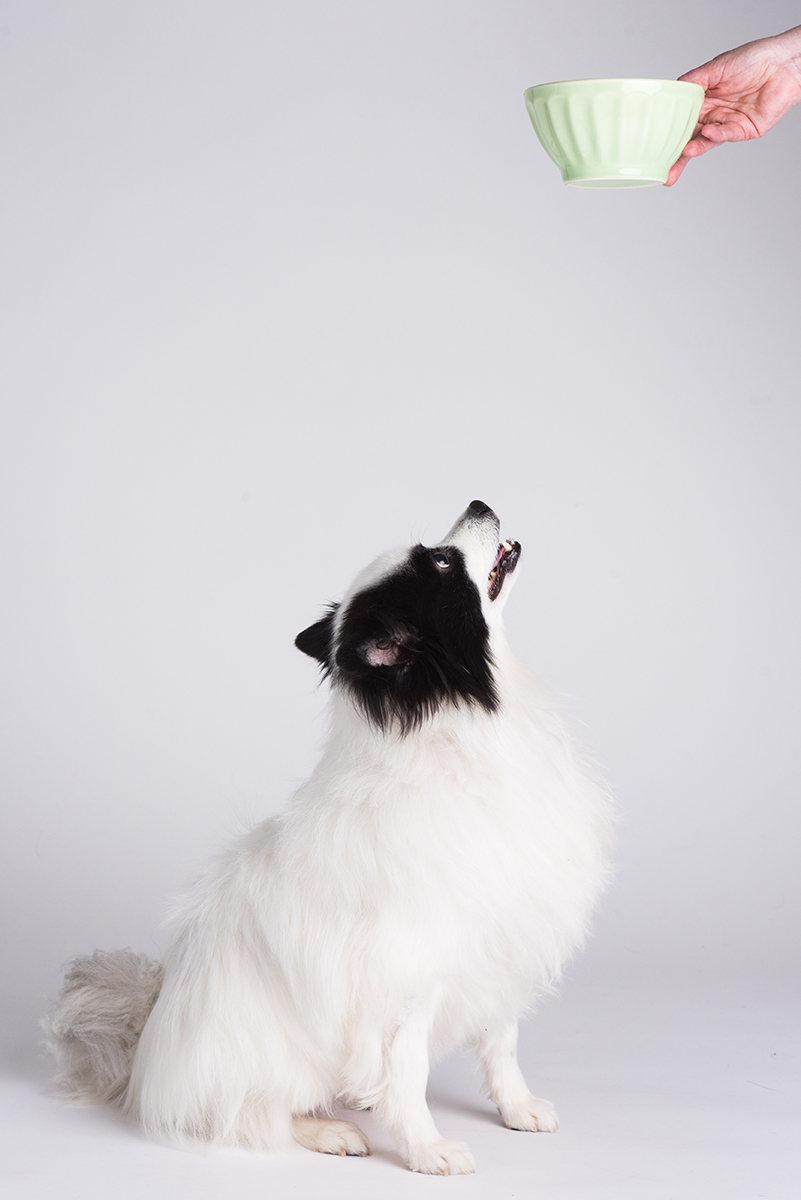 Sophie
