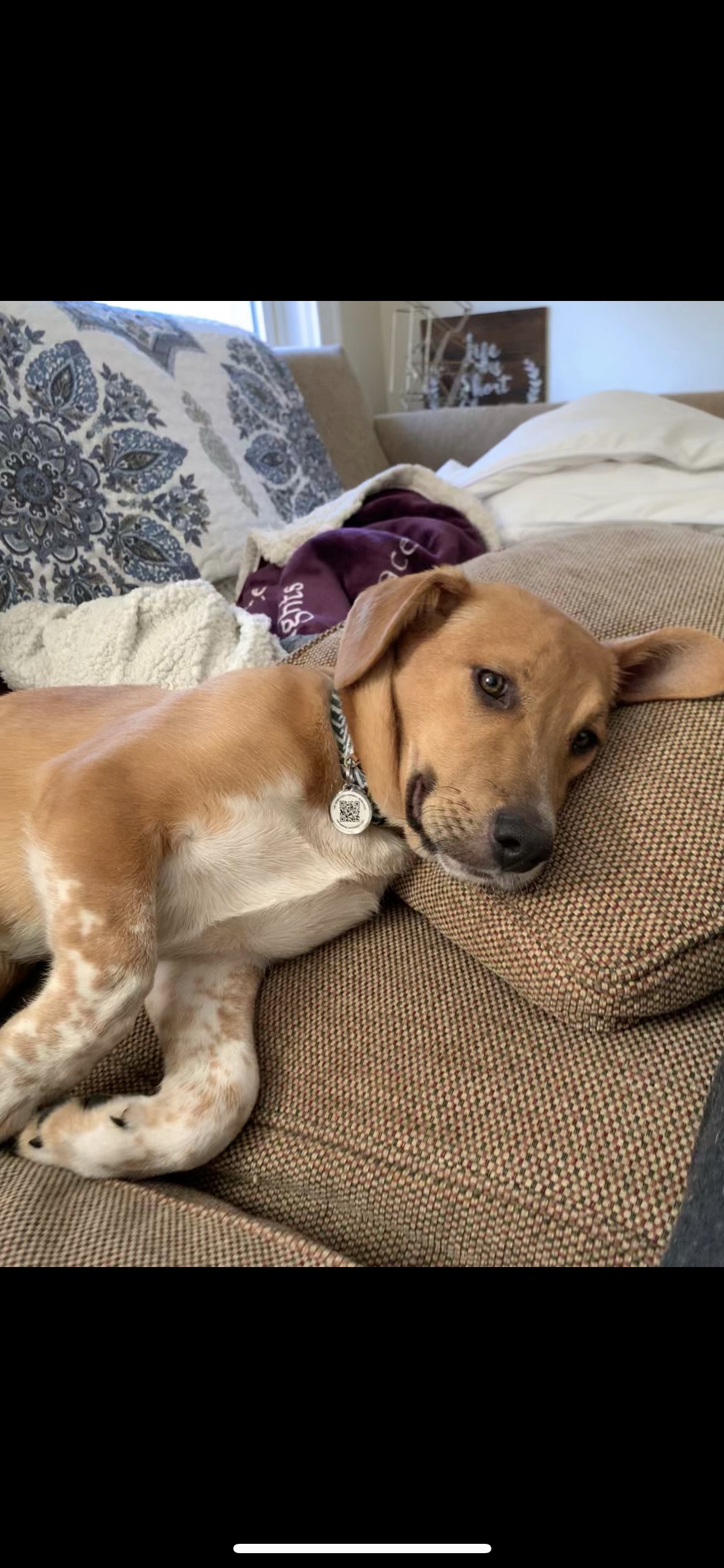 Rusty