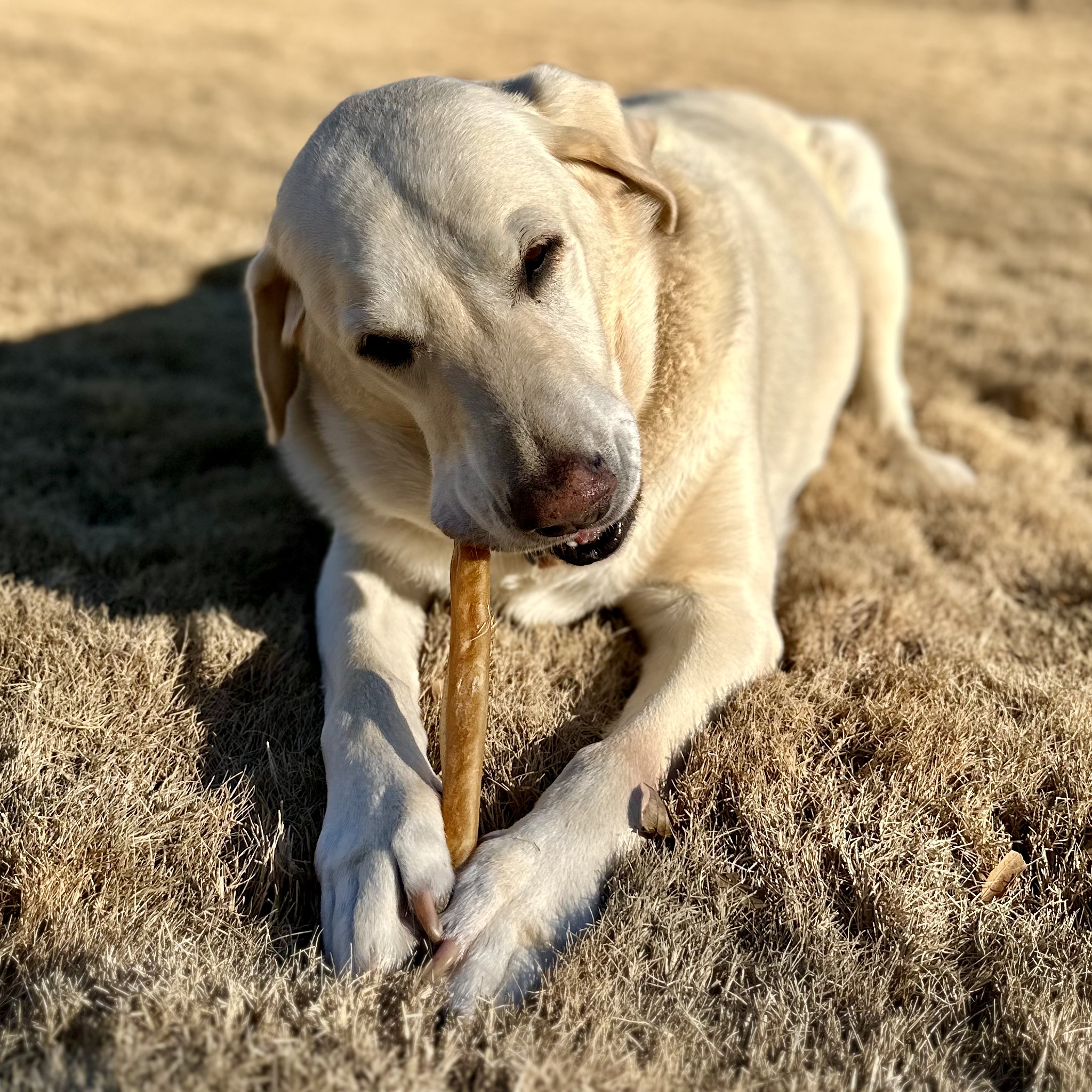 Charlie