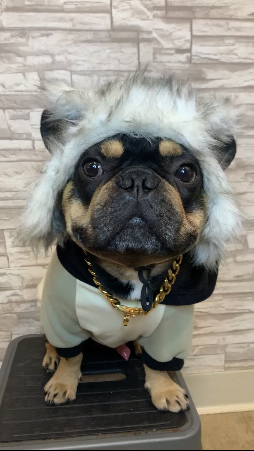 BennyBlanco & frog face crew