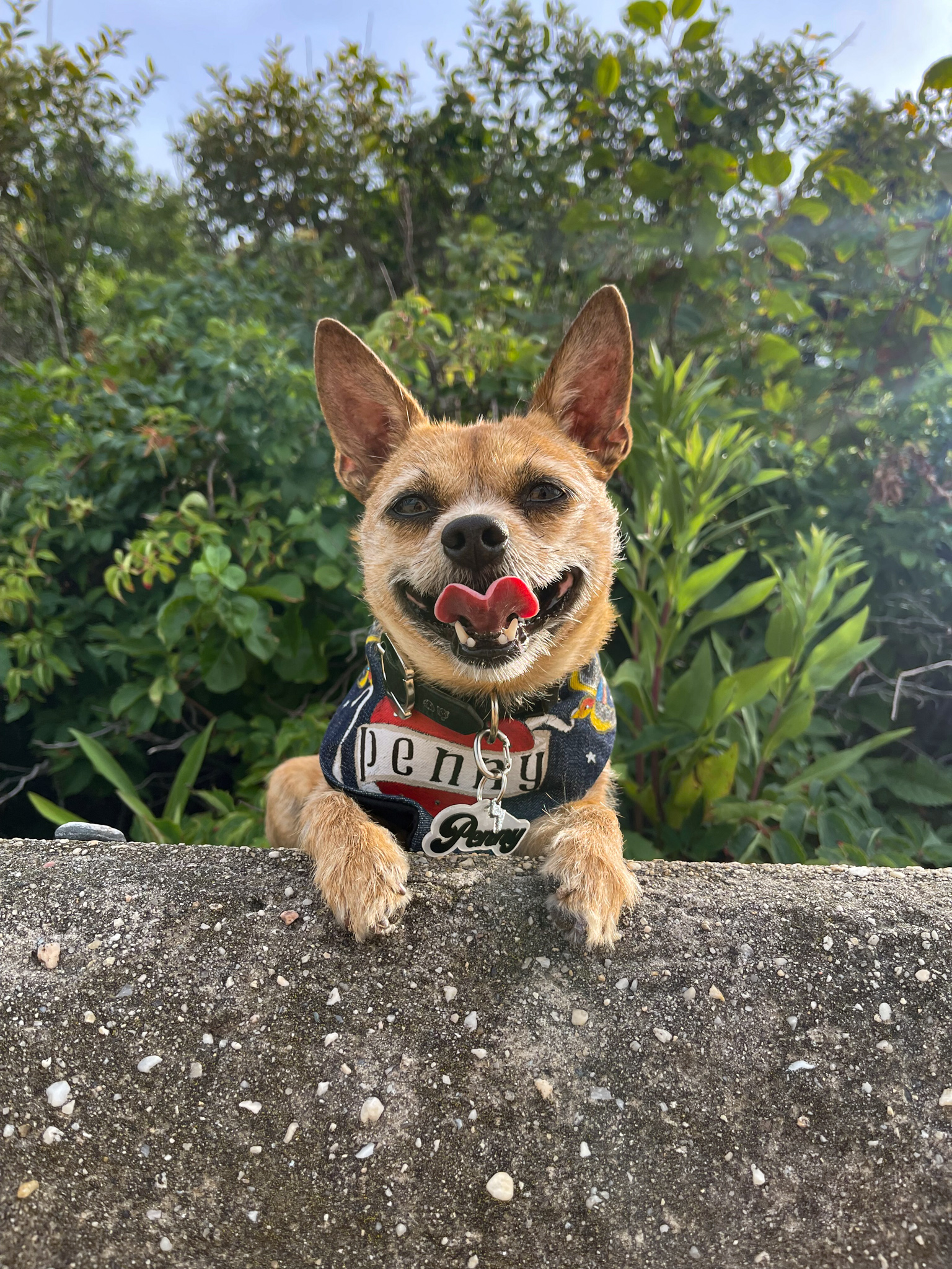 Penny