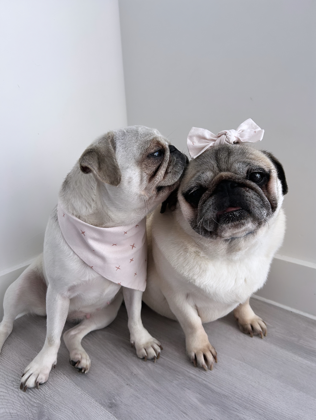 Dotty & Queenie