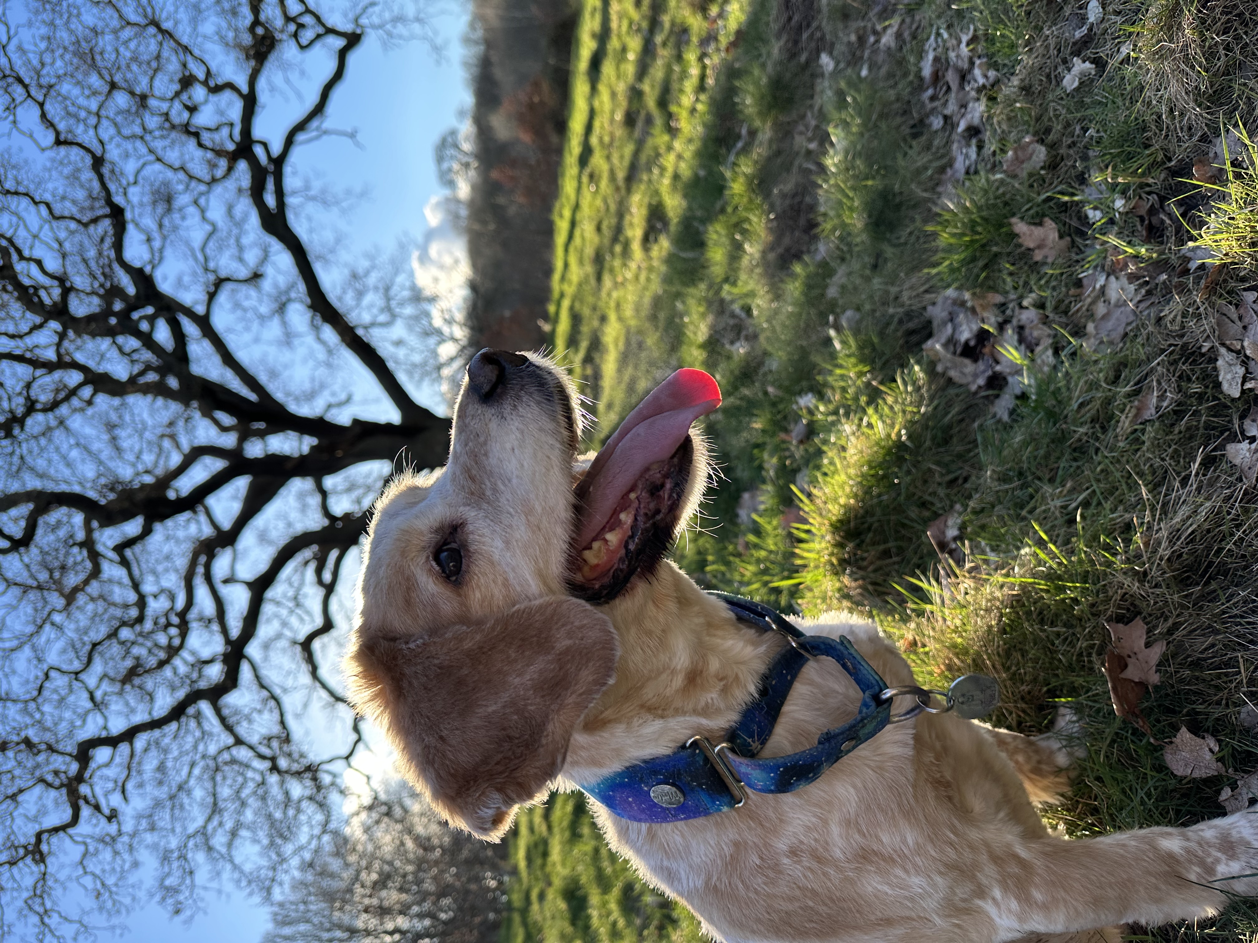 Patch