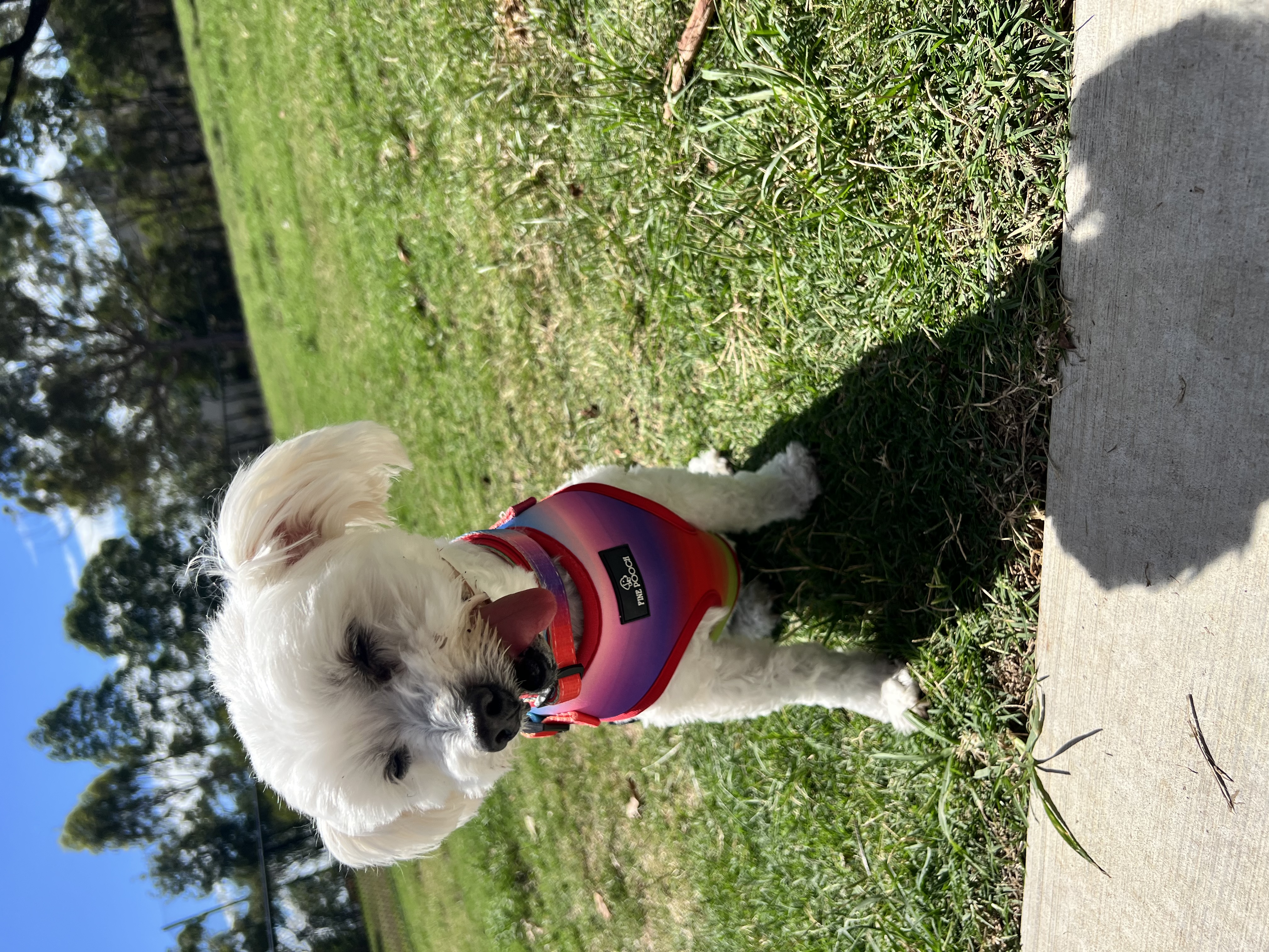 Milly