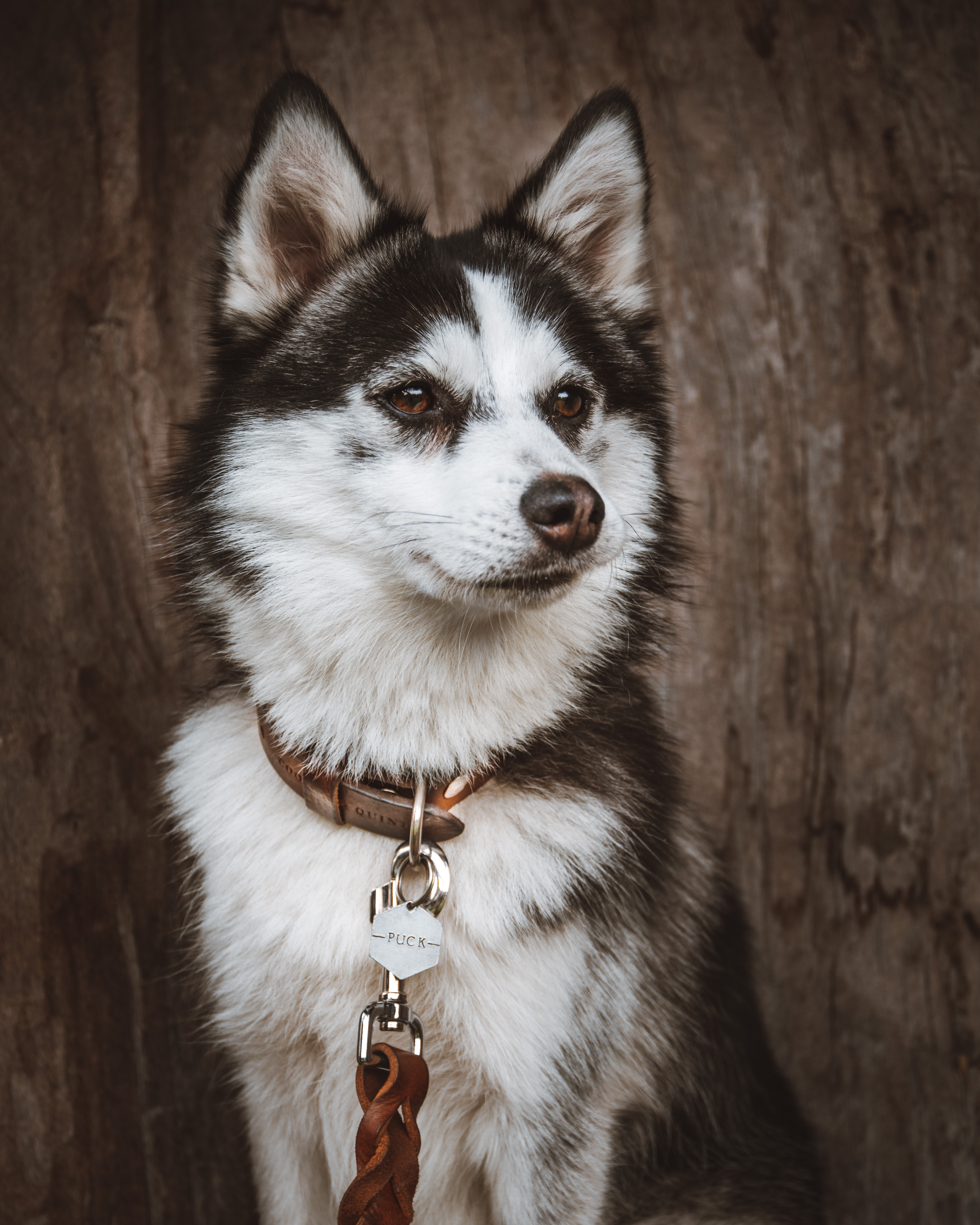 Puck