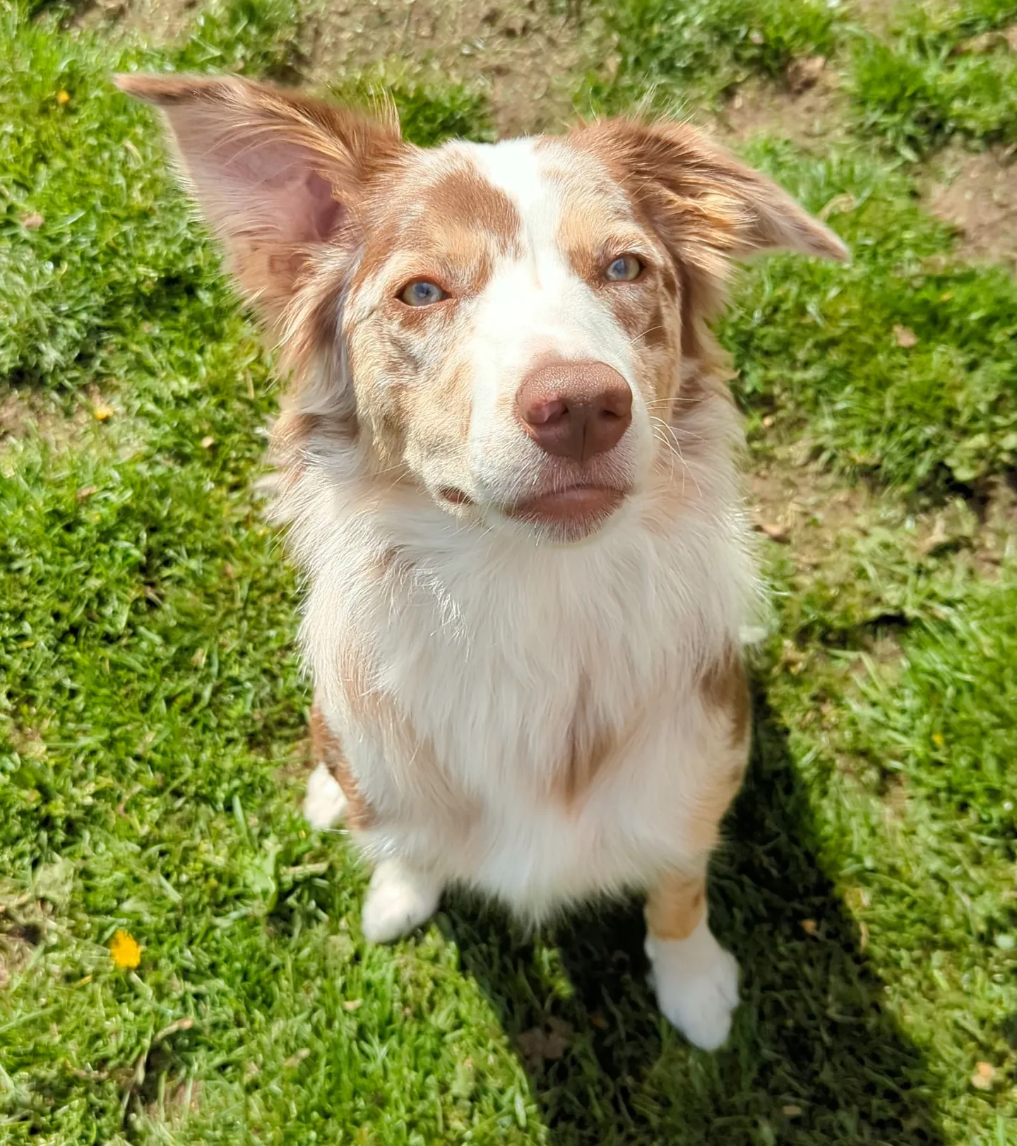 Ruby