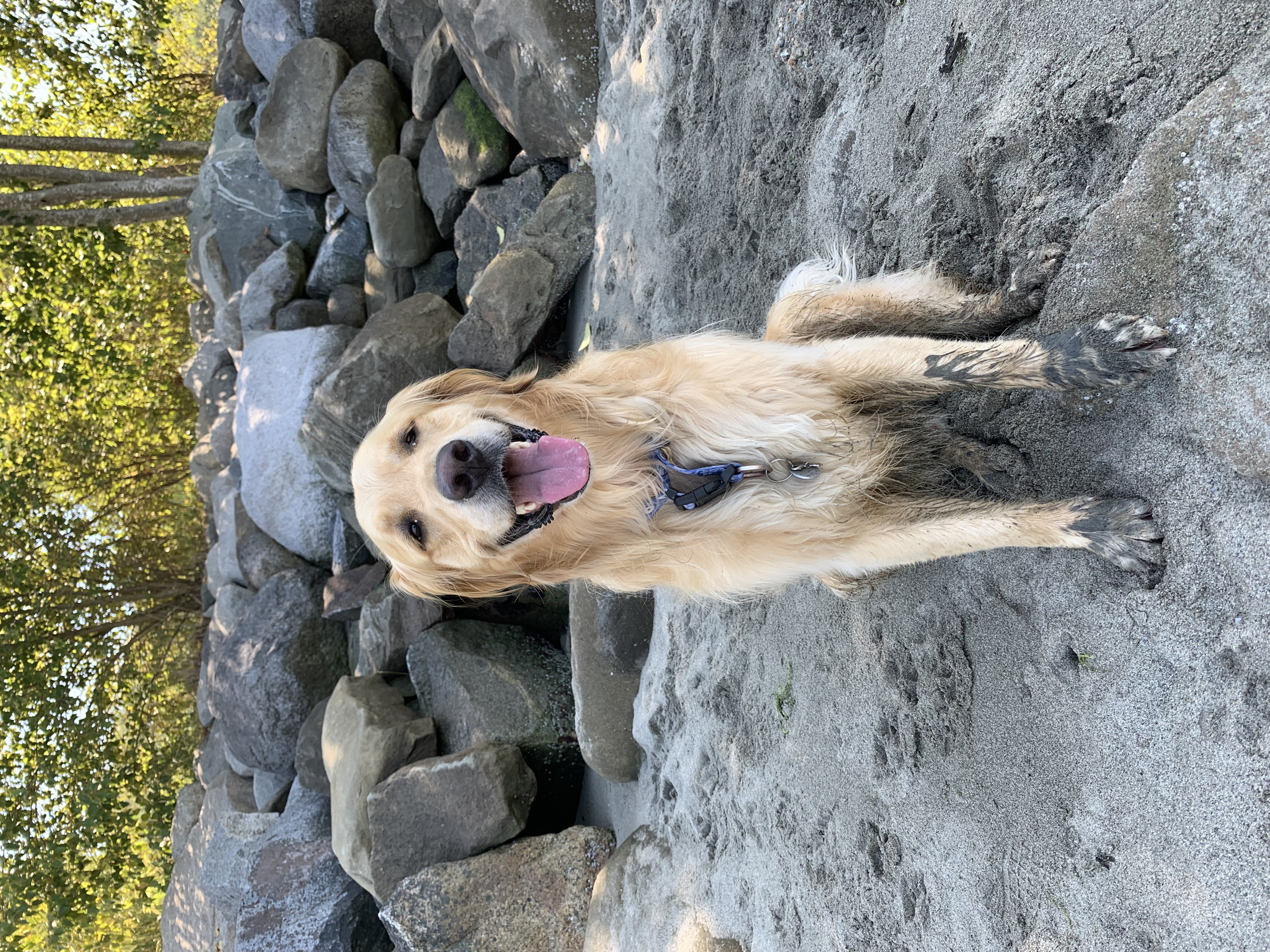 milo