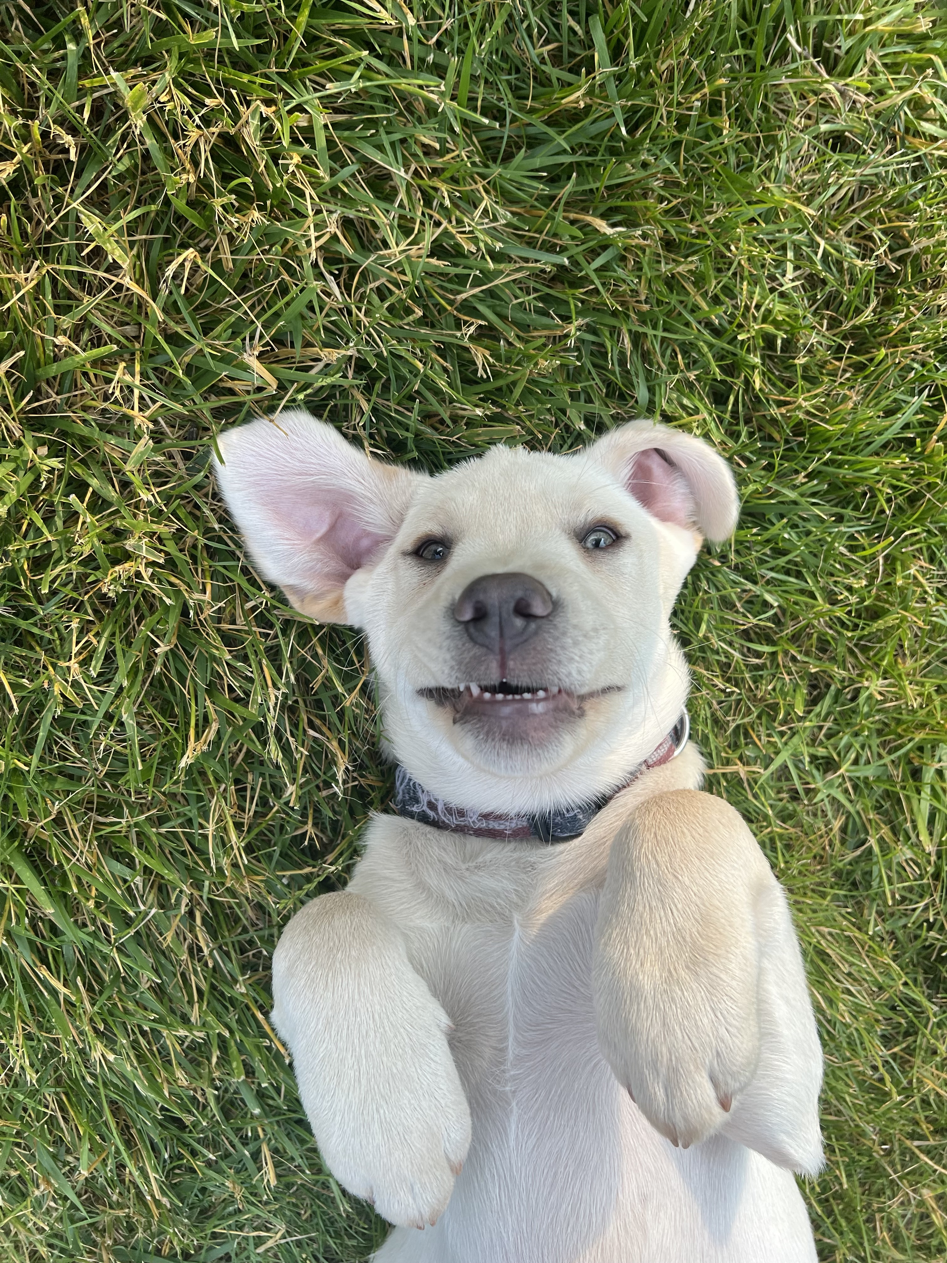 Tucker