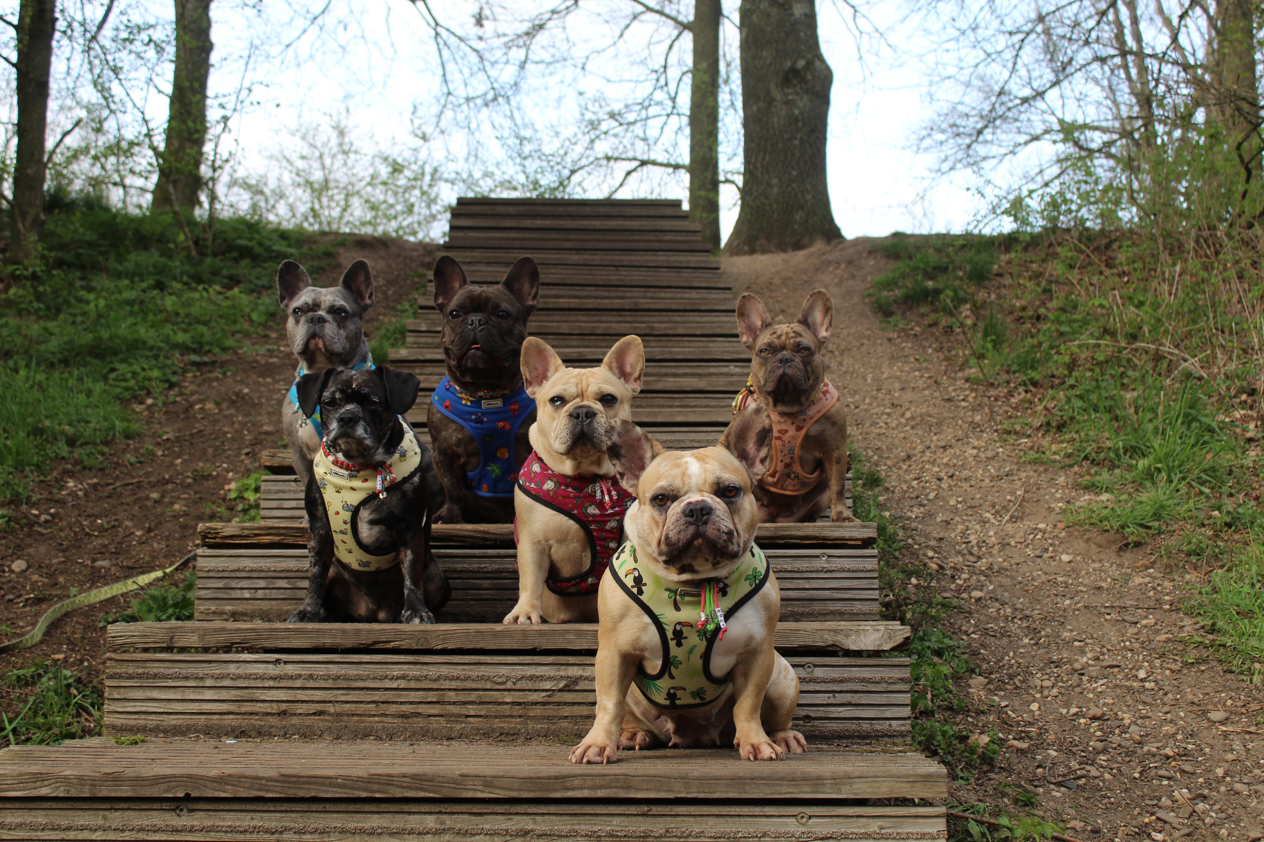 Bram, saar, lotte, fien, rosy and Jenna