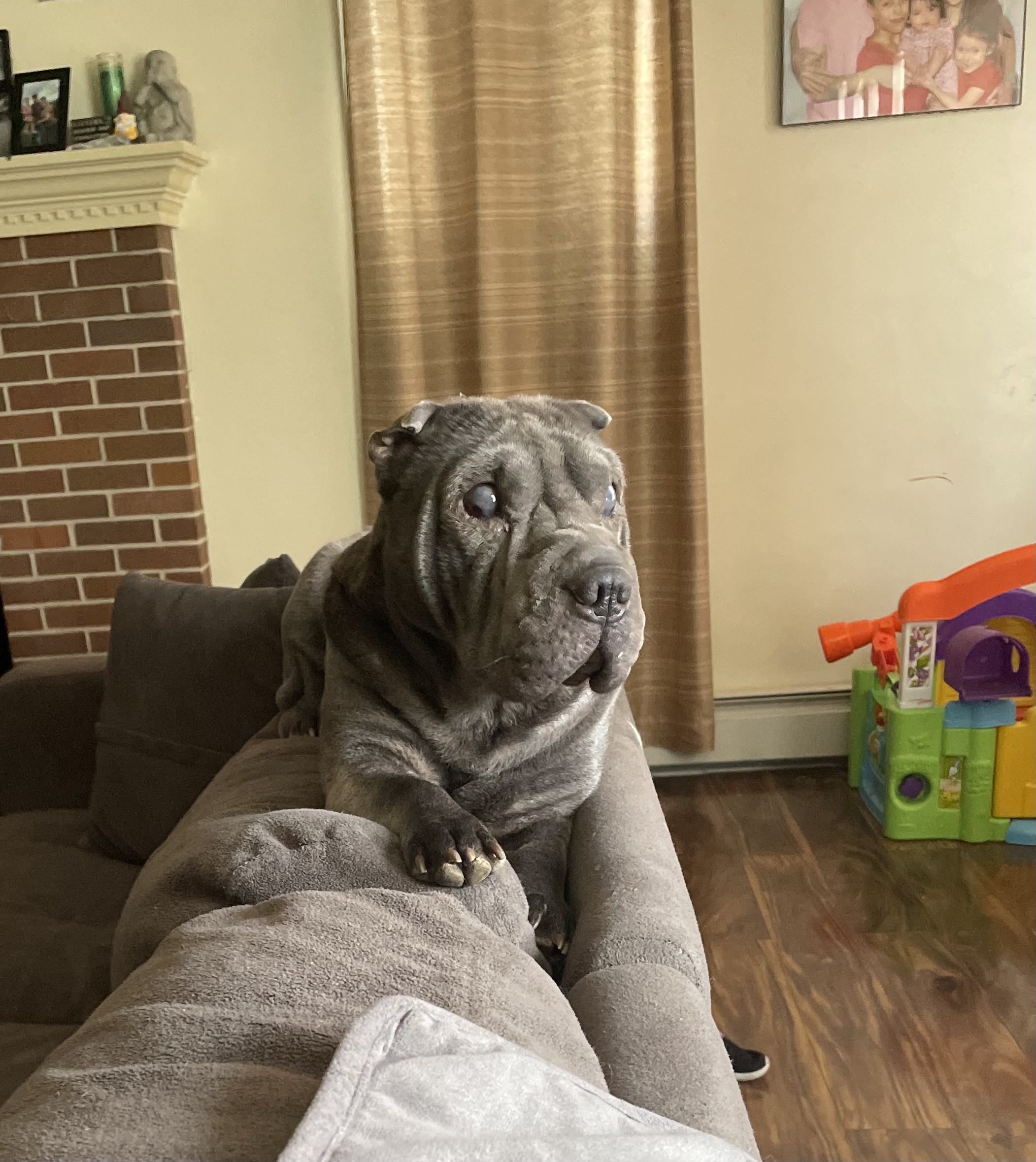 Chyna
