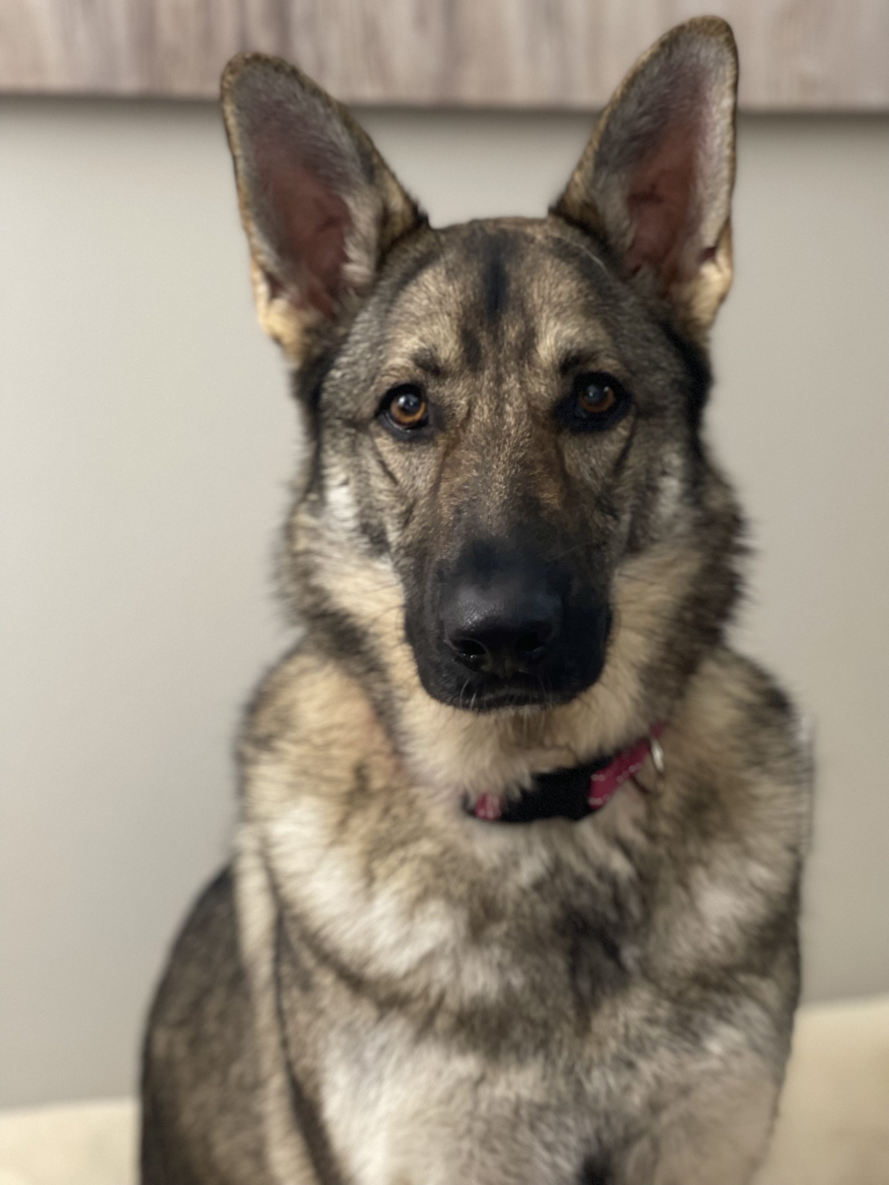 Chloe