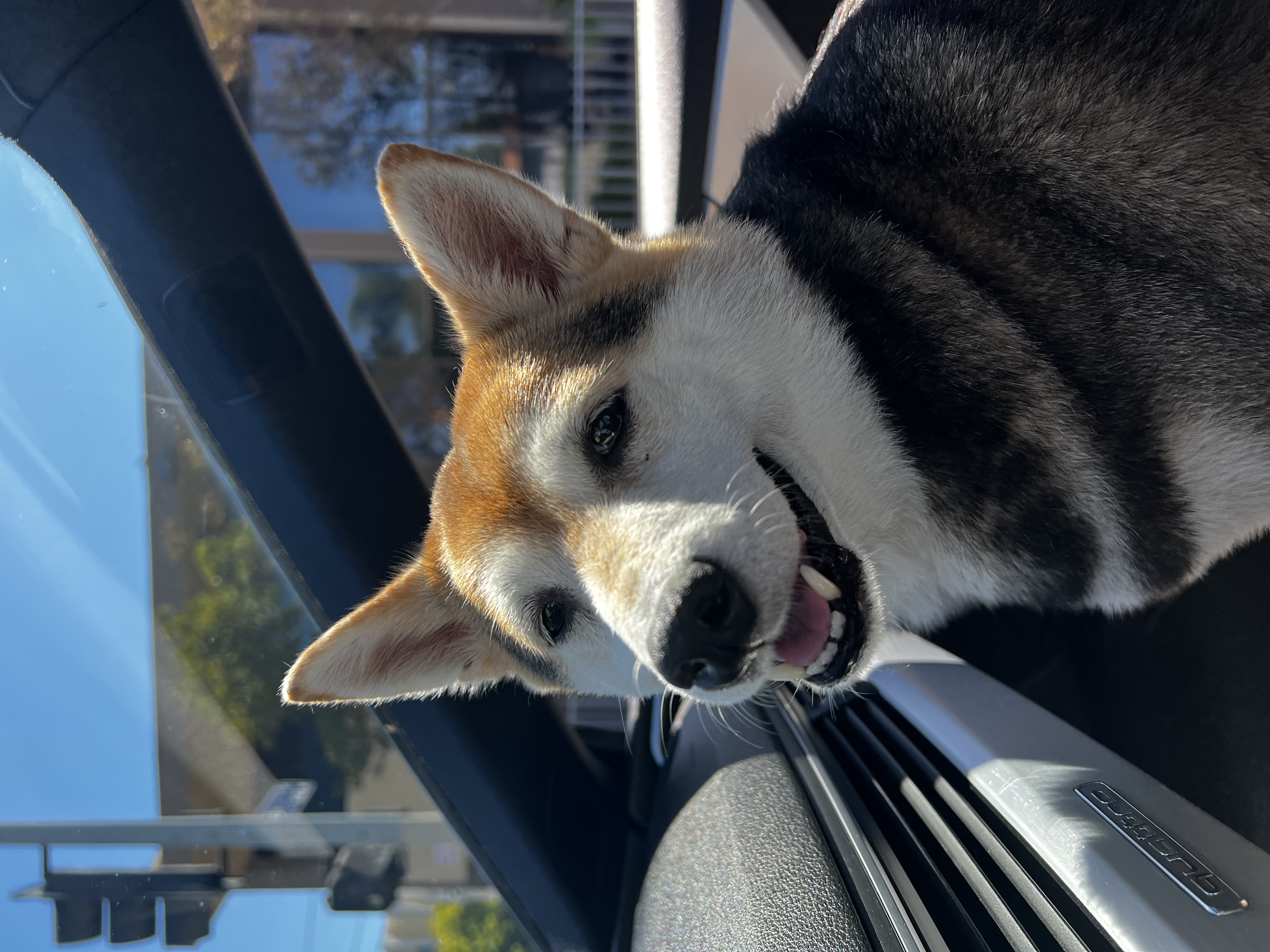 Mia