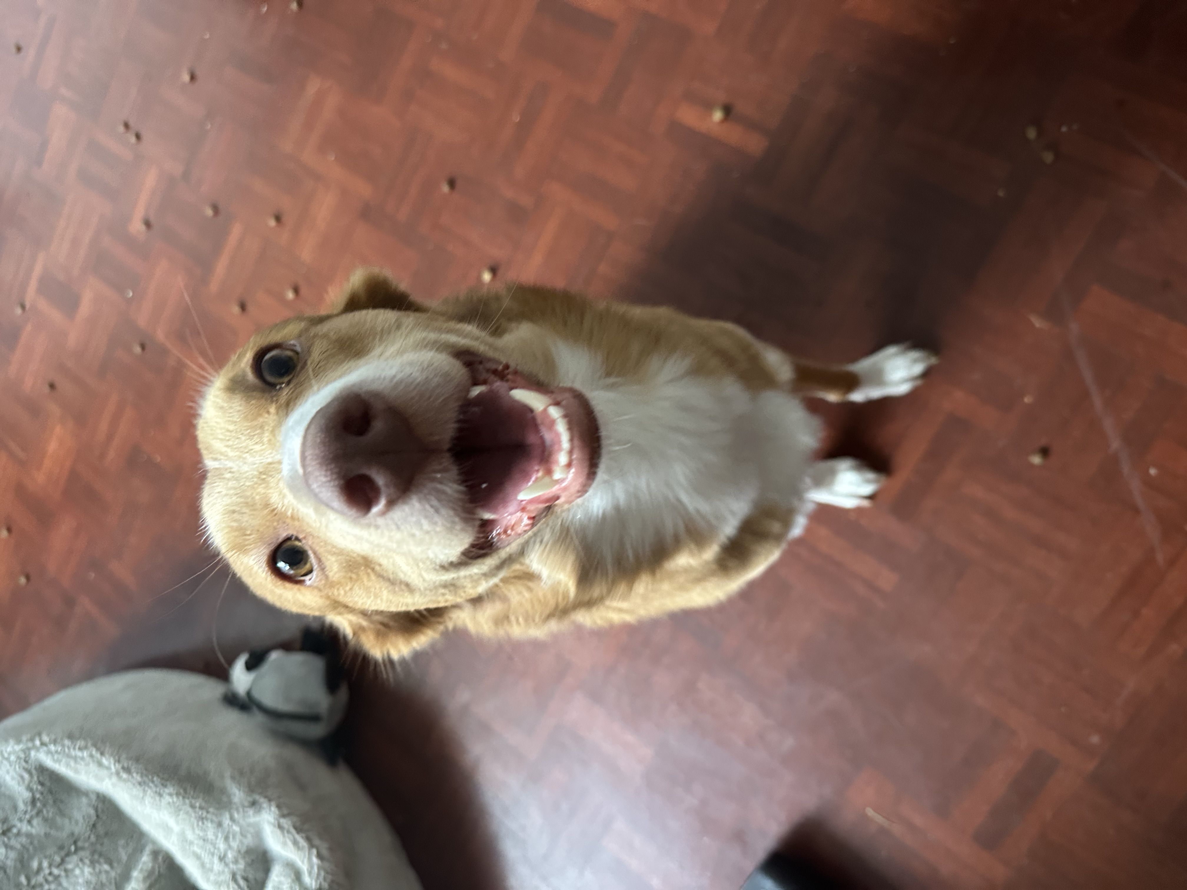 Ginny