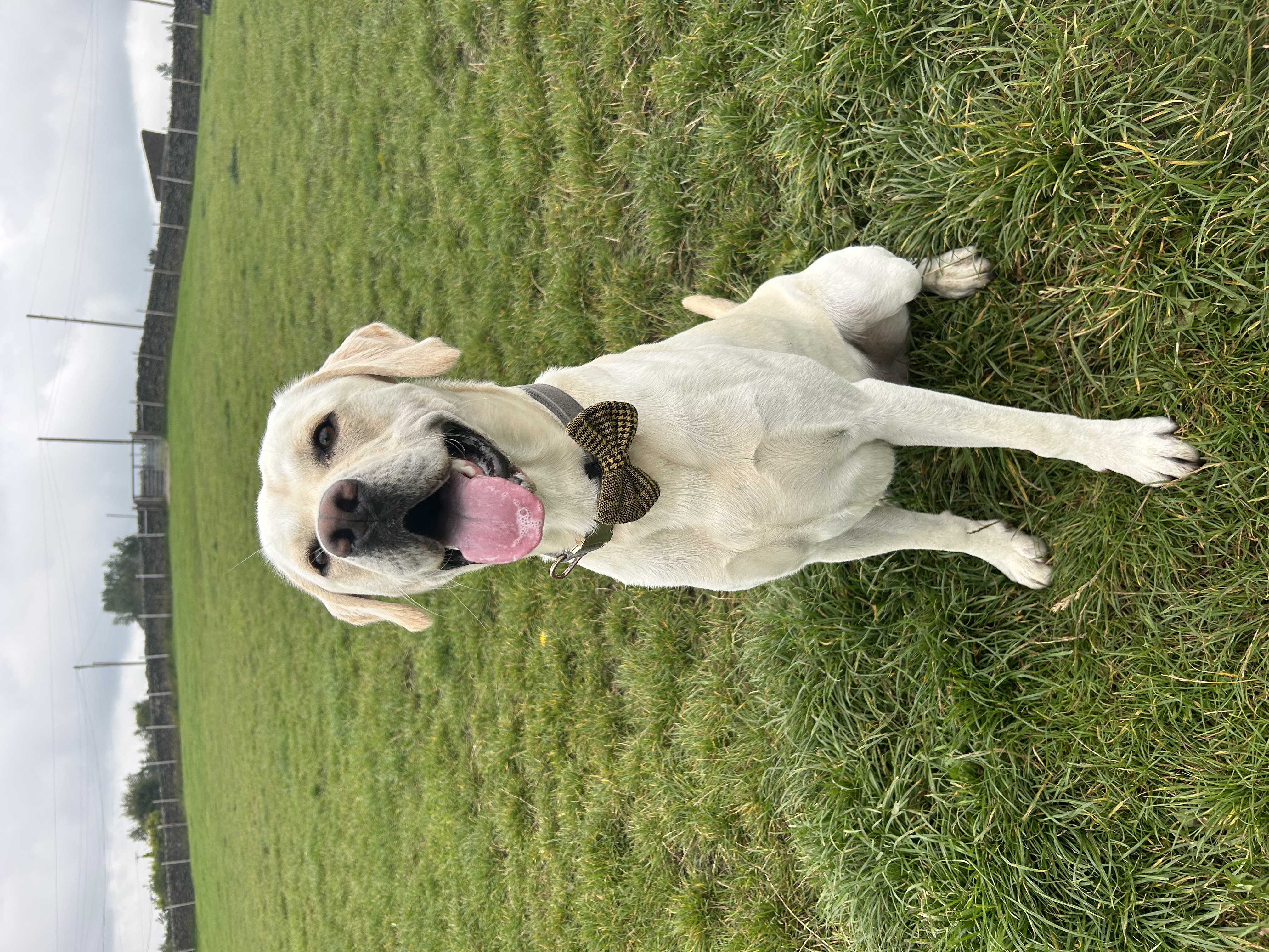 Buster