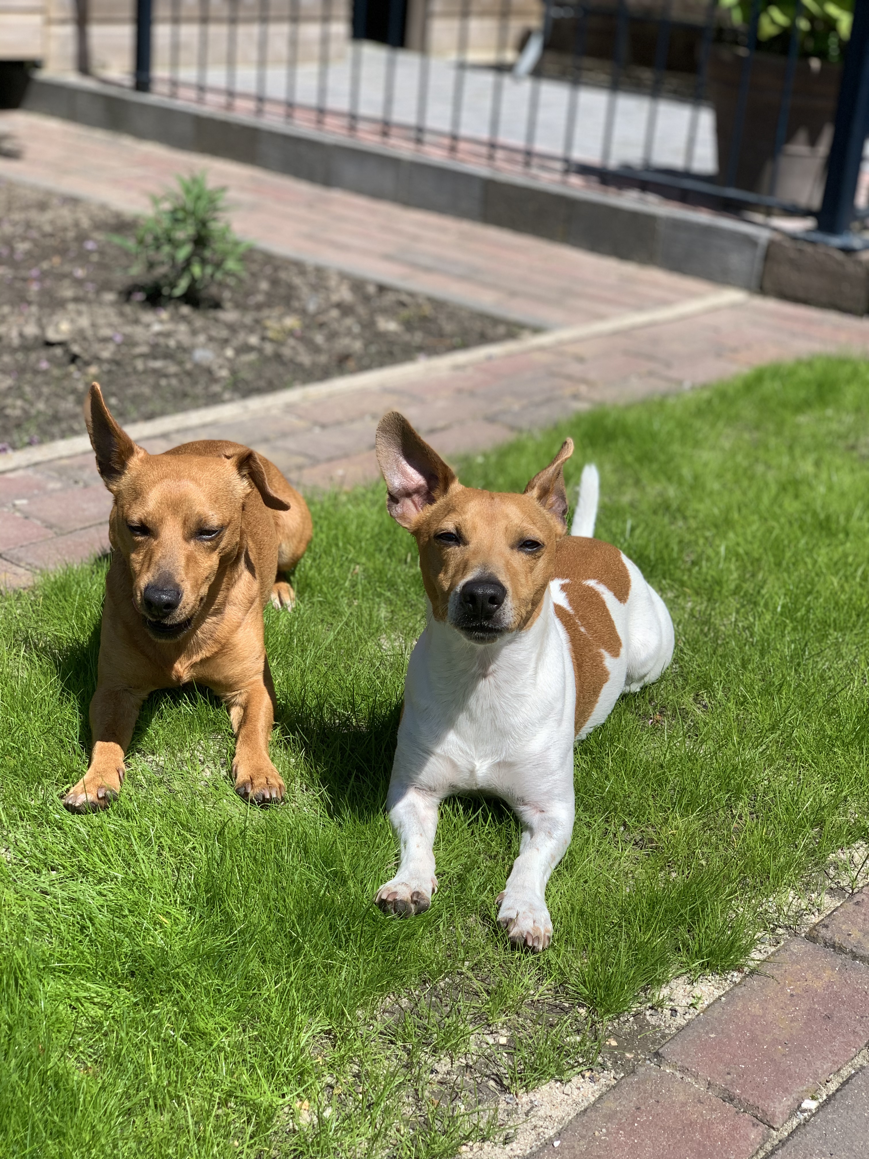Sem & Bink
