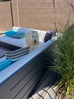 Maddie Scharffenberg