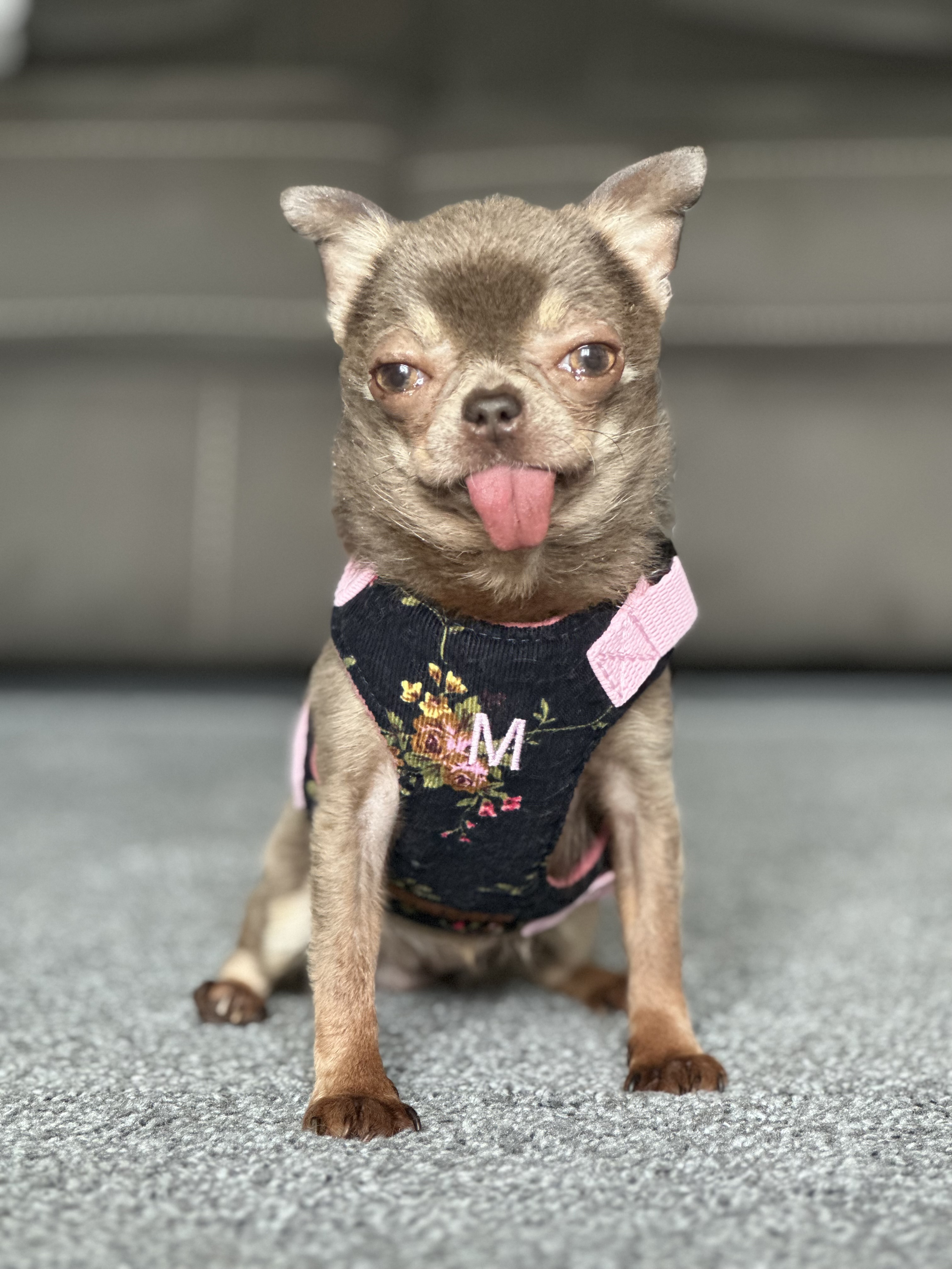 Minnie
