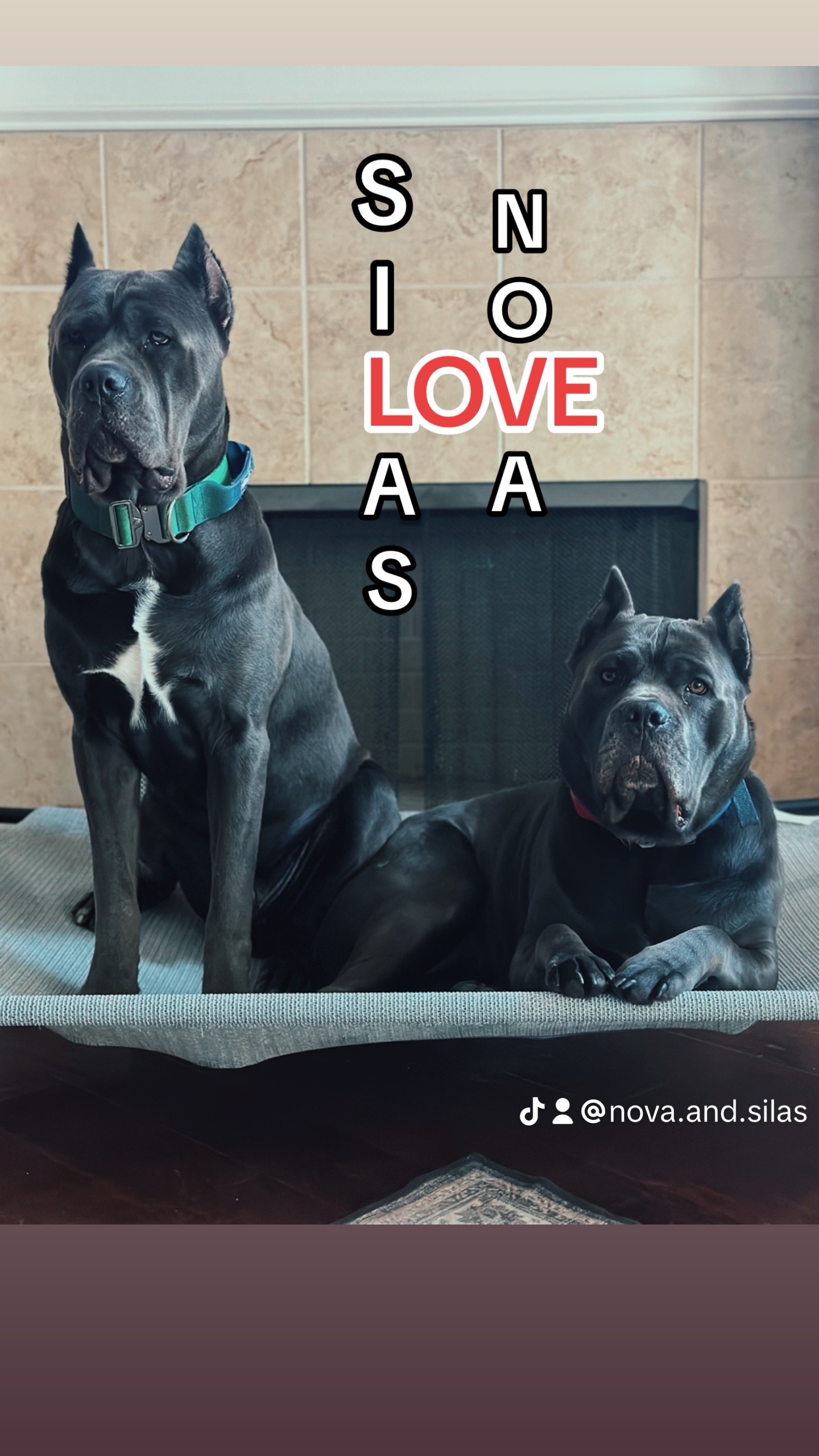 Silas